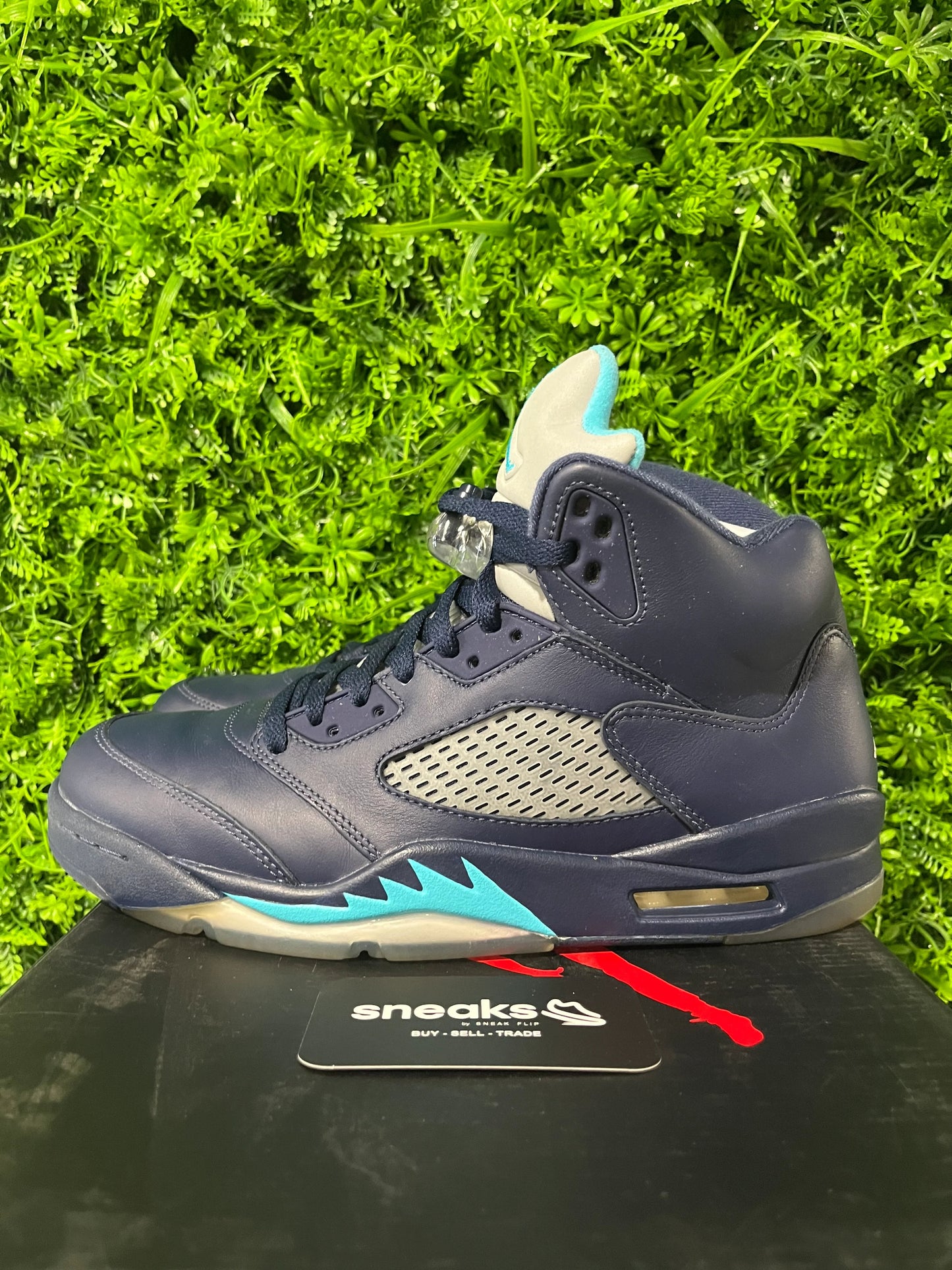 Jordan 5 Retro Pre-Grape - Used