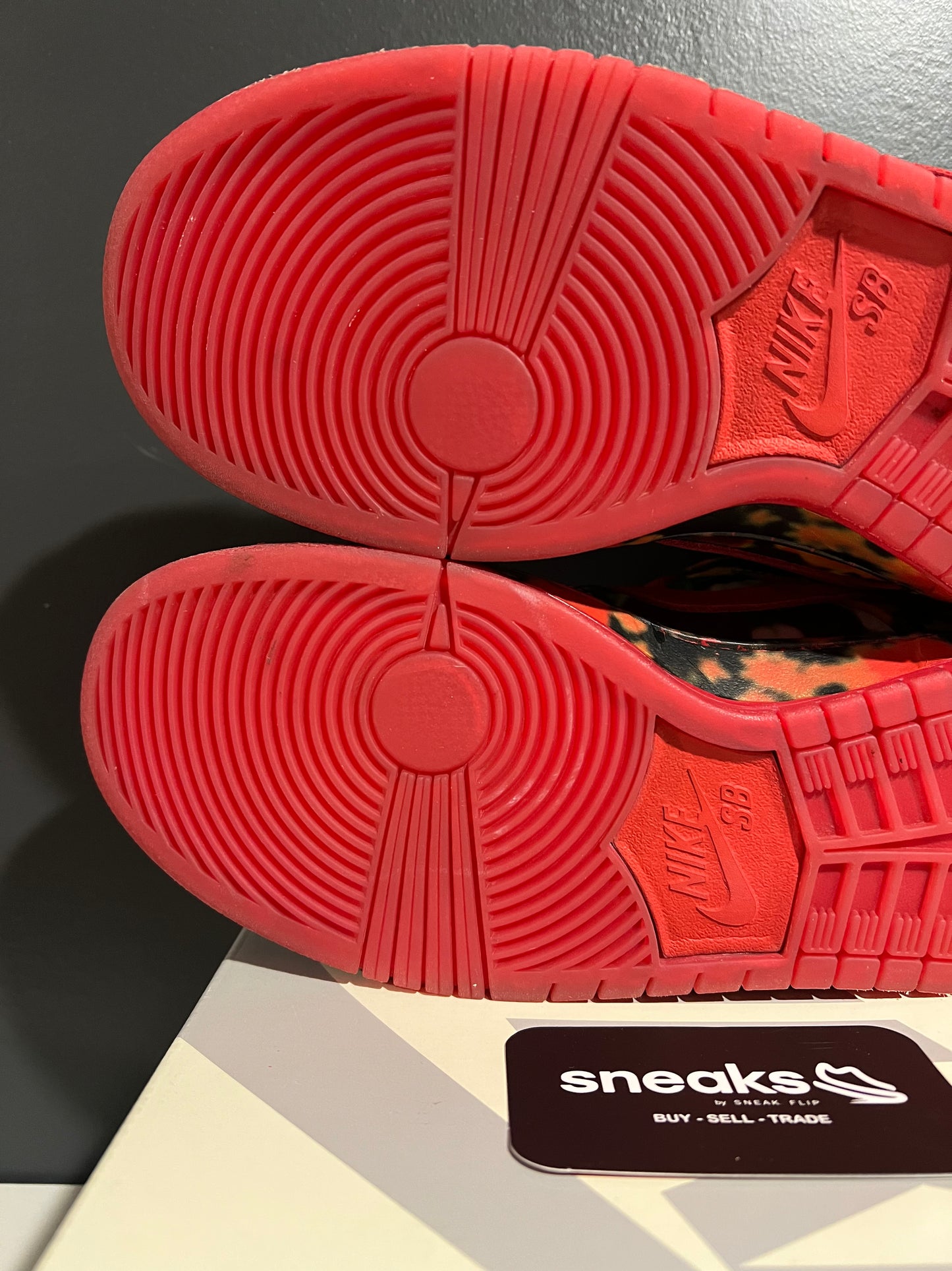 USED The Wizard of Oz x Dunk Low SB Poppy Field FZ1291-600 SIZE 9M OG ALL AG25-184