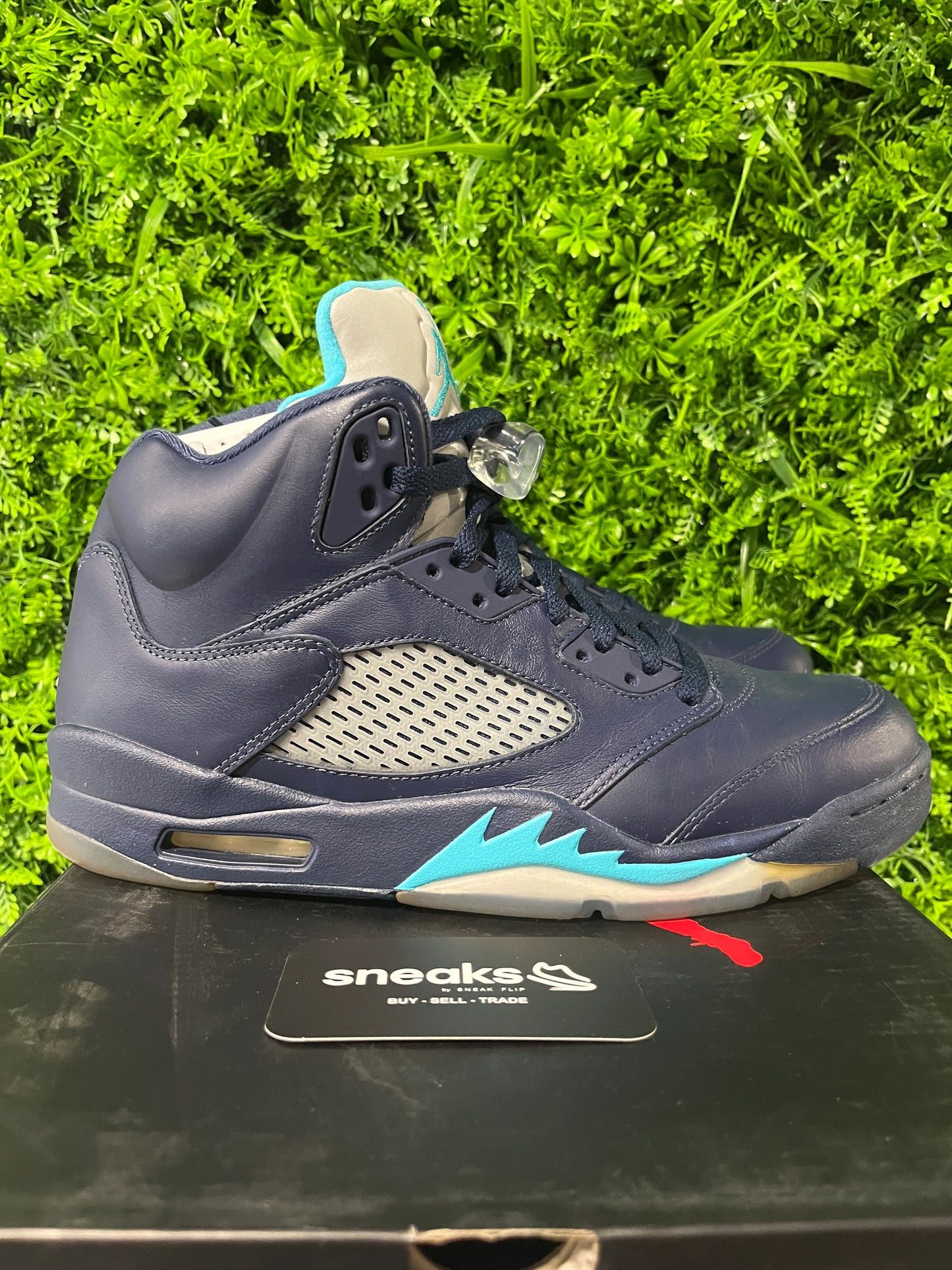 Jordan 5 Retro Pre-Grape - Used