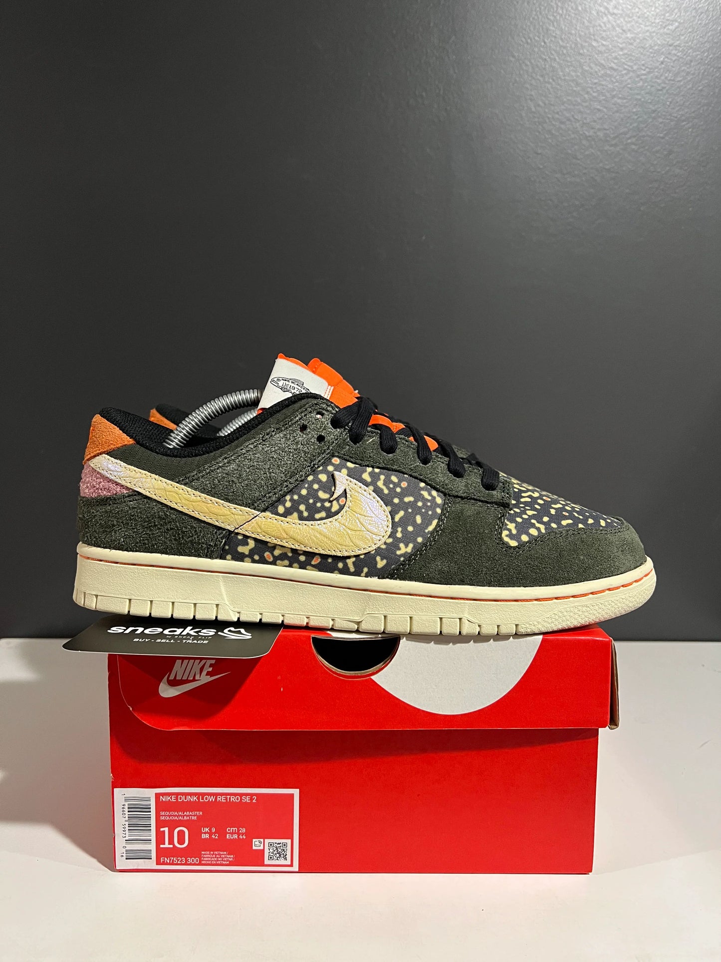 Nike Dunk Low SE Gone Fishing Rainbow Trout - Used