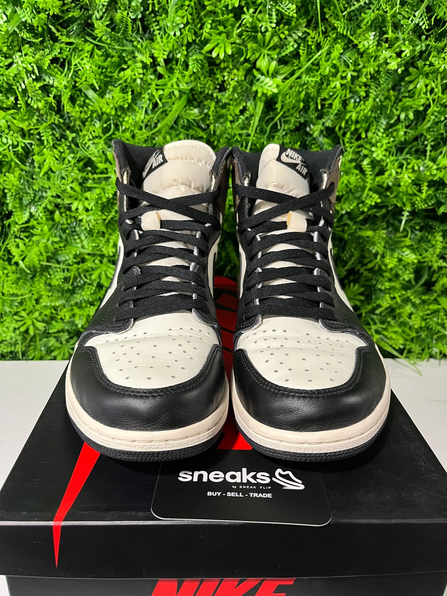 Jordan 1 Retro High Dark Mocha - Used