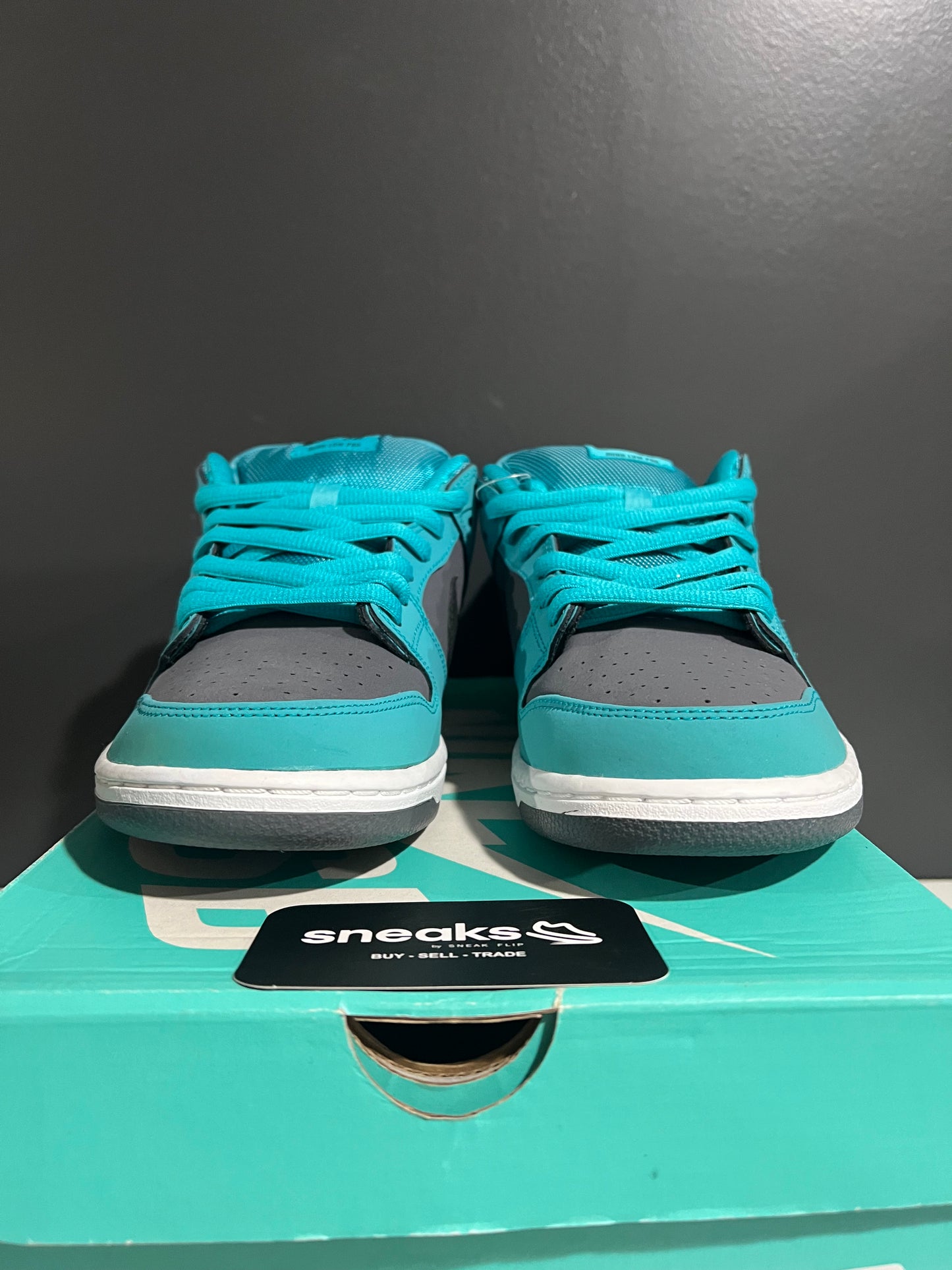 NEW SB Dunk Low Pro Dusty Cactus 304292-303 SIZE 10.5M OG ALL AG25-181