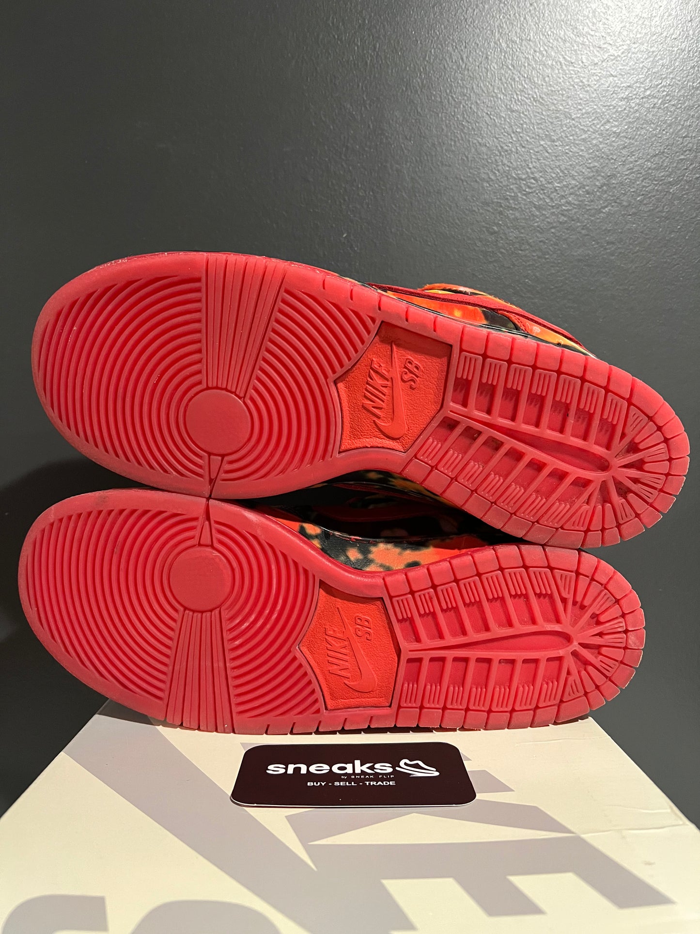 USED The Wizard of Oz x Dunk Low SB Poppy Field FZ1291-600 SIZE 9M OG ALL AG25-184