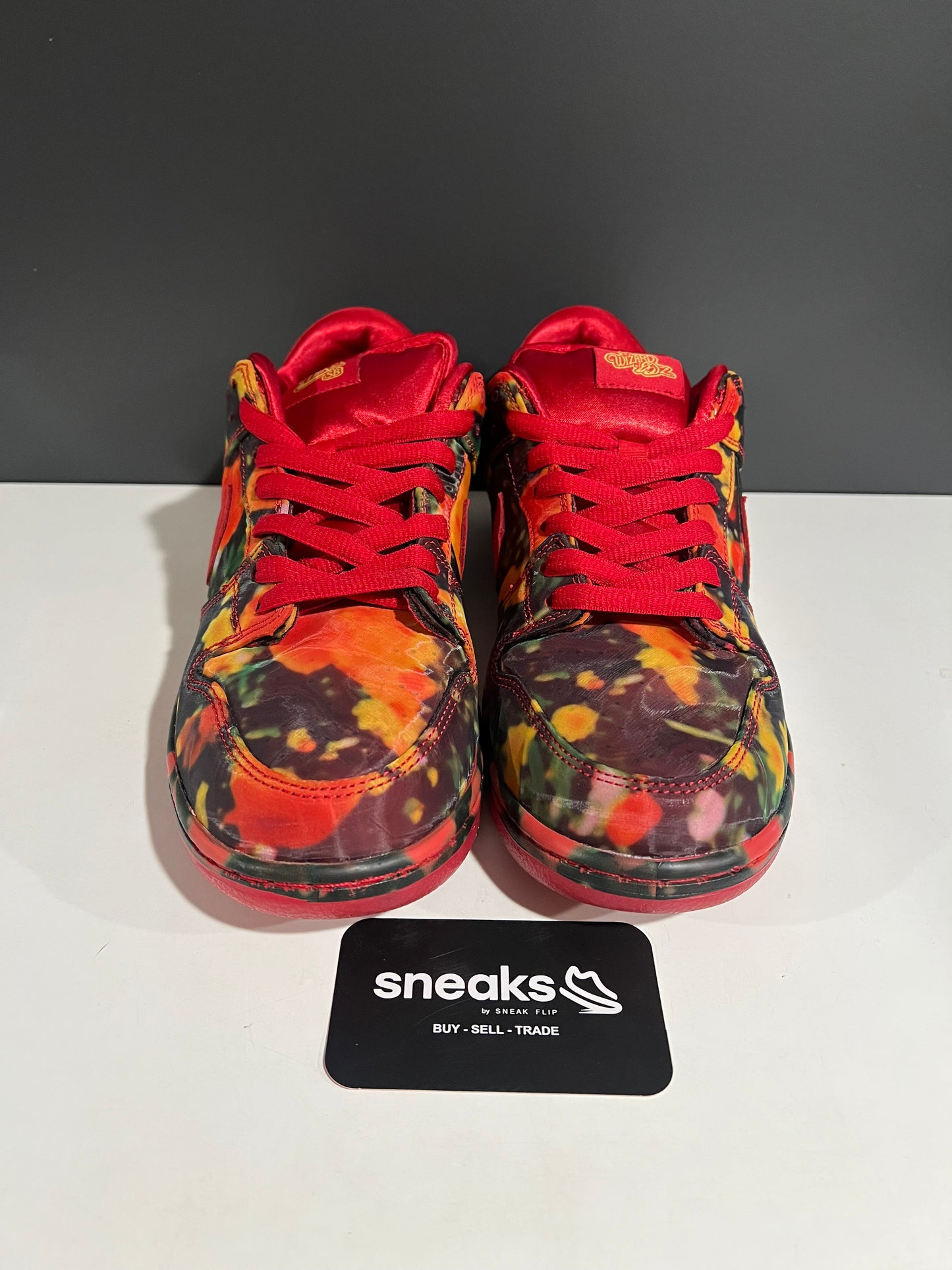 USED Nike SB Dunk Low “Wizard of Oz” Poppy Field FZ1291-600 SIZE 10M NO BOX JY25-199