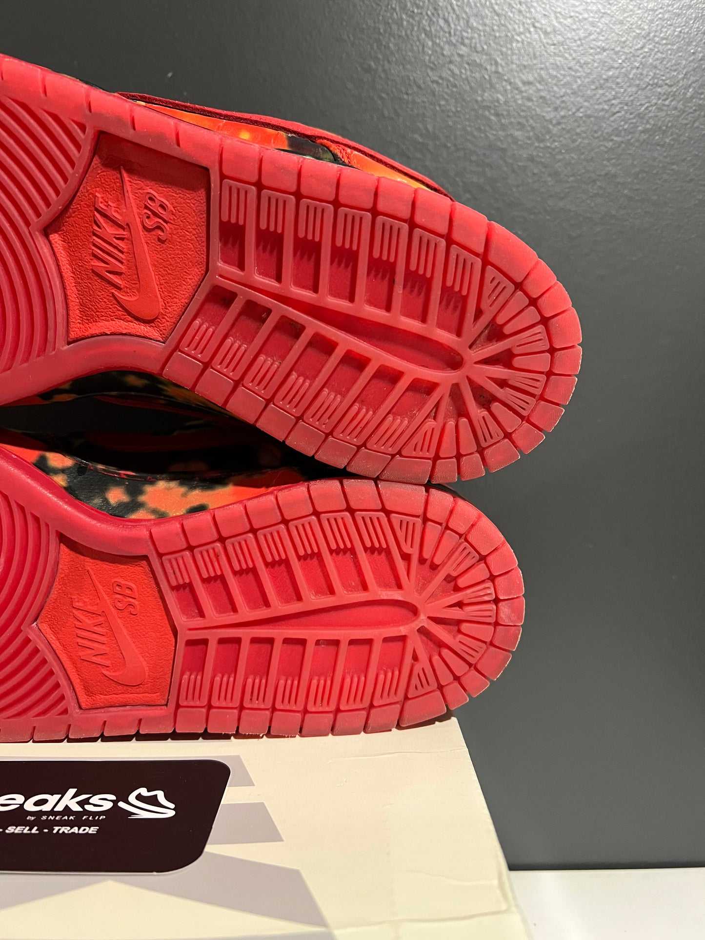 USED The Wizard of Oz x Dunk Low SB Poppy Field FZ1291-600 SIZE 9M OG ALL AG25-184