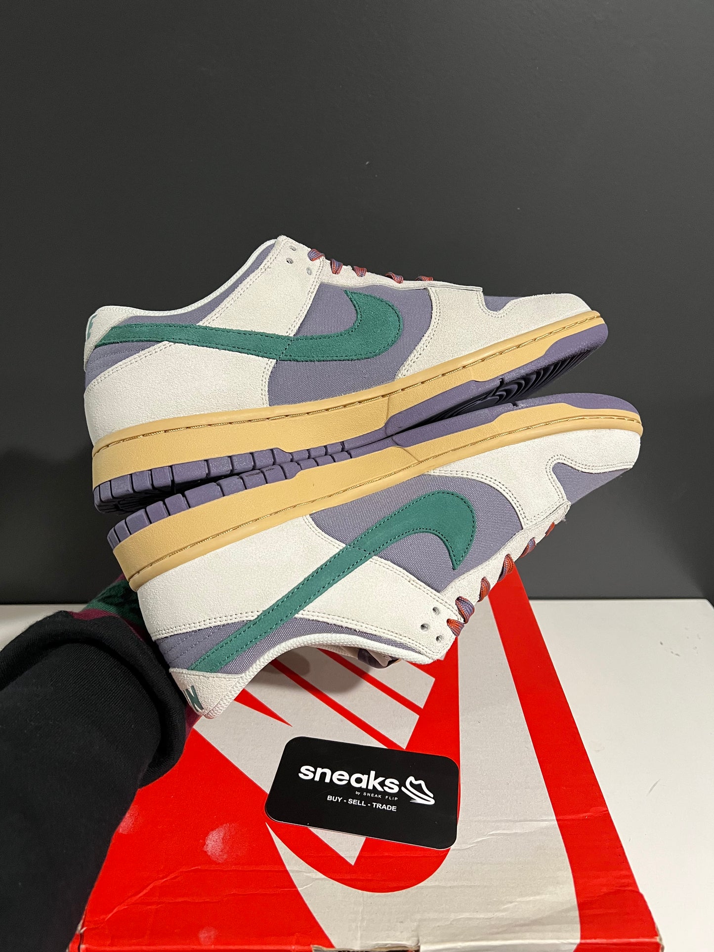 NEW Wmns Dunk Low Daybreak Bicoastal HF5030-030 SIZE 10.5M OG ALL DMG BOX SP25-058