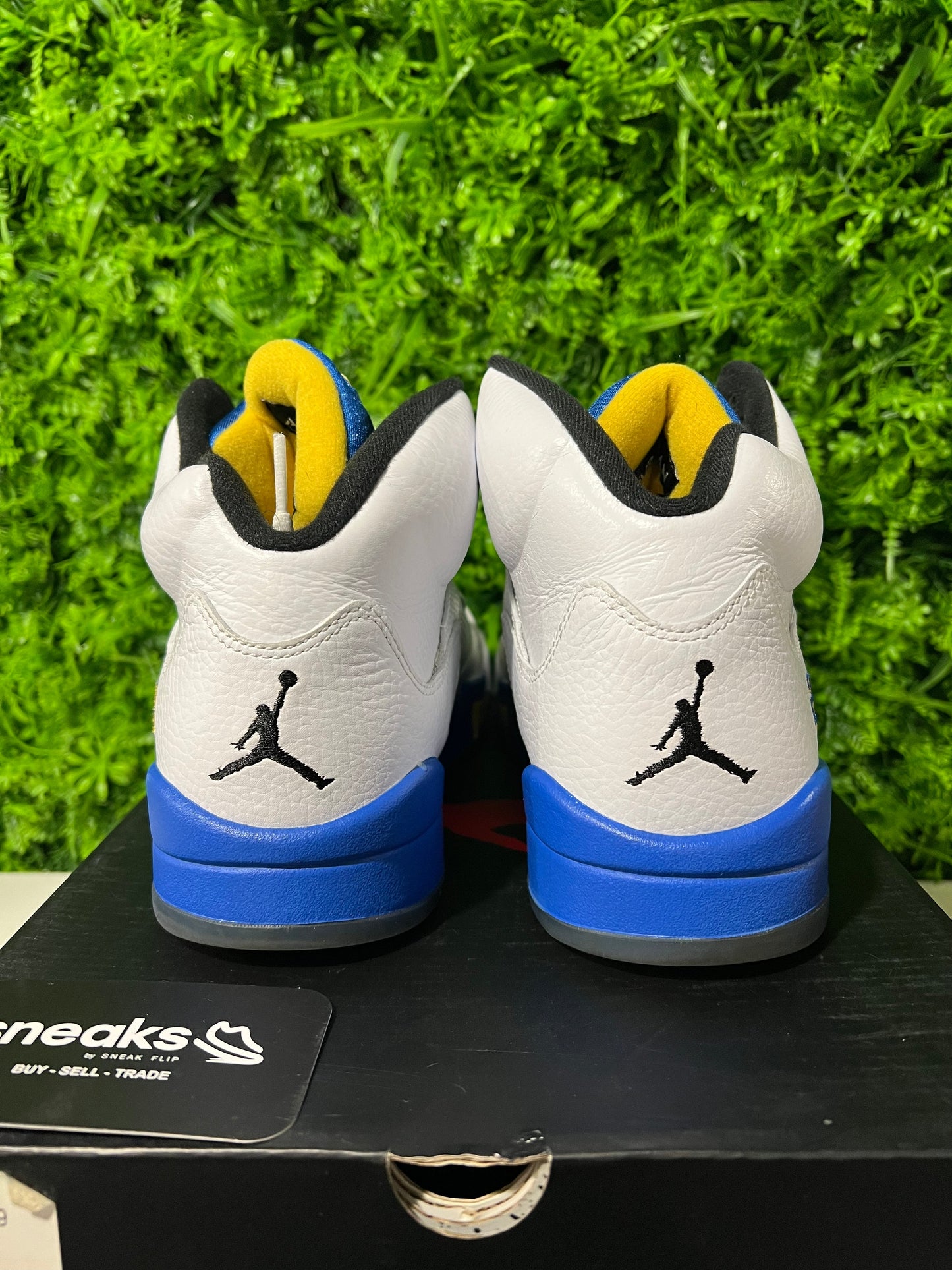 Jordan 5 Retro Laney (2013) - Used