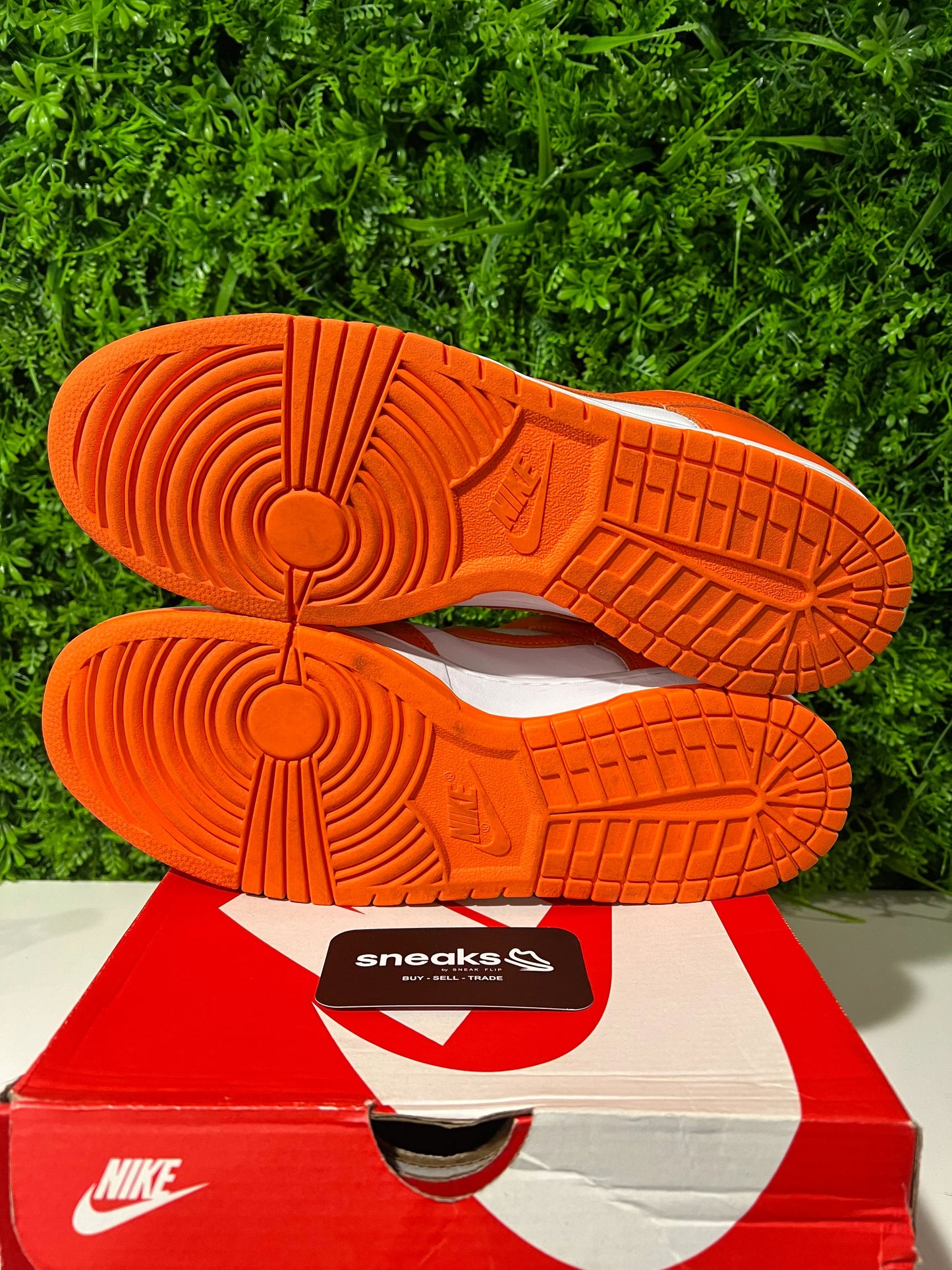 Nike Dunk Low SP Syracuse - Used