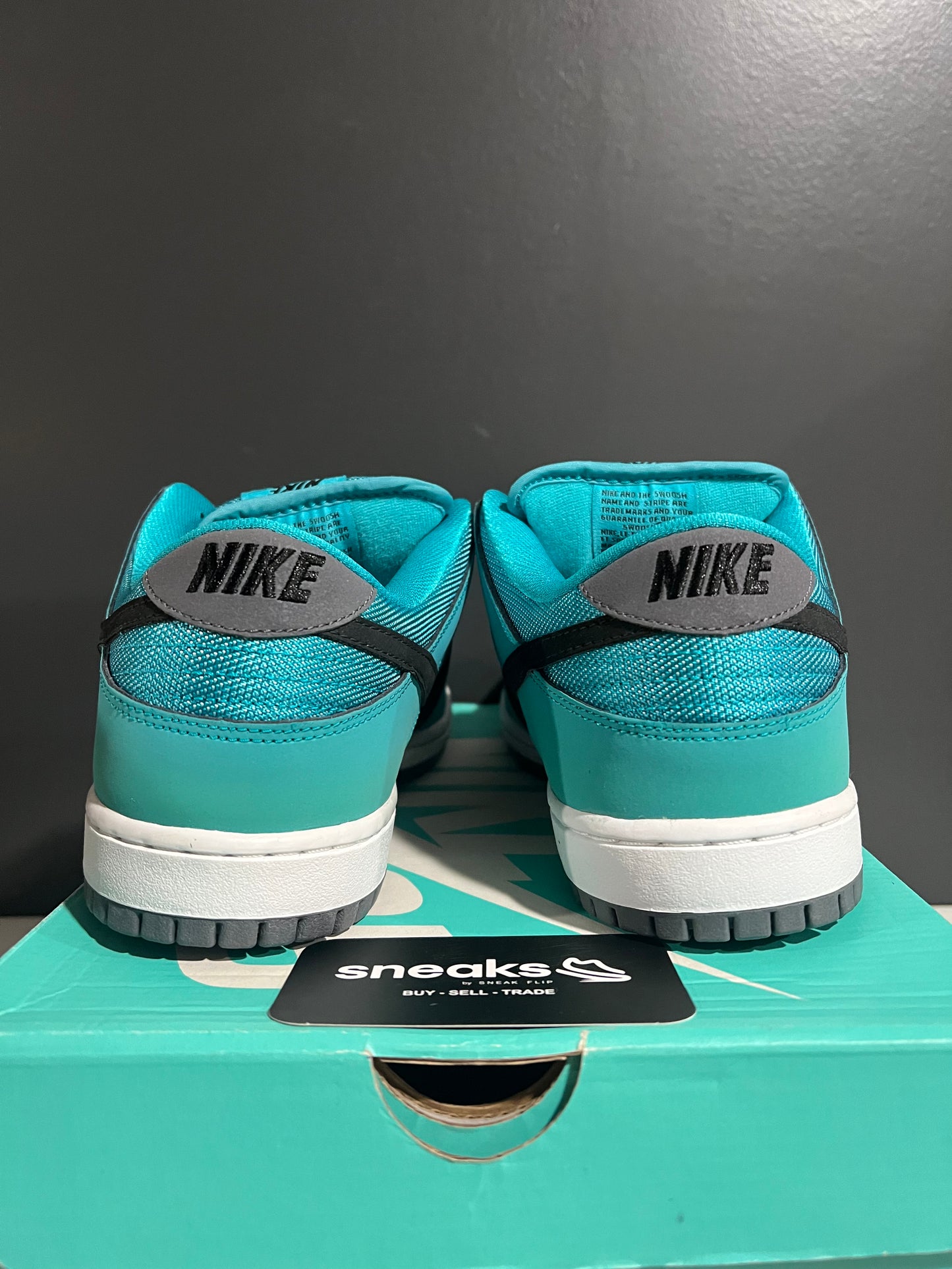NEW SB Dunk Low Pro Dusty Cactus 304292-303 SIZE 10.5M OG ALL AG25-181