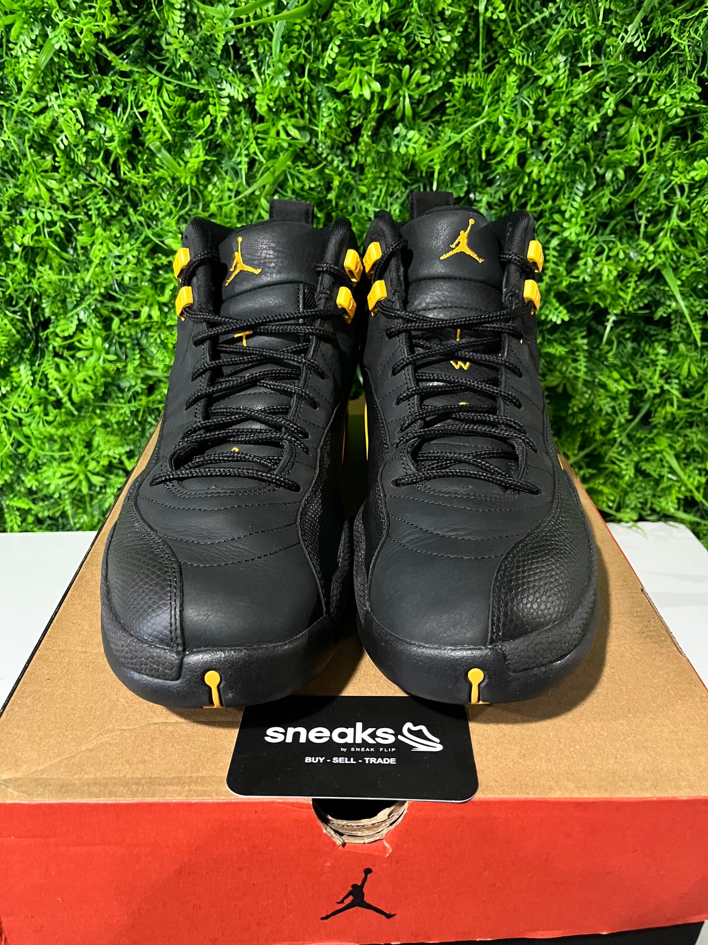 USED Air Jordan 12 Retro Black Taxi CT8013-071 SIZE 13M OG ALL
