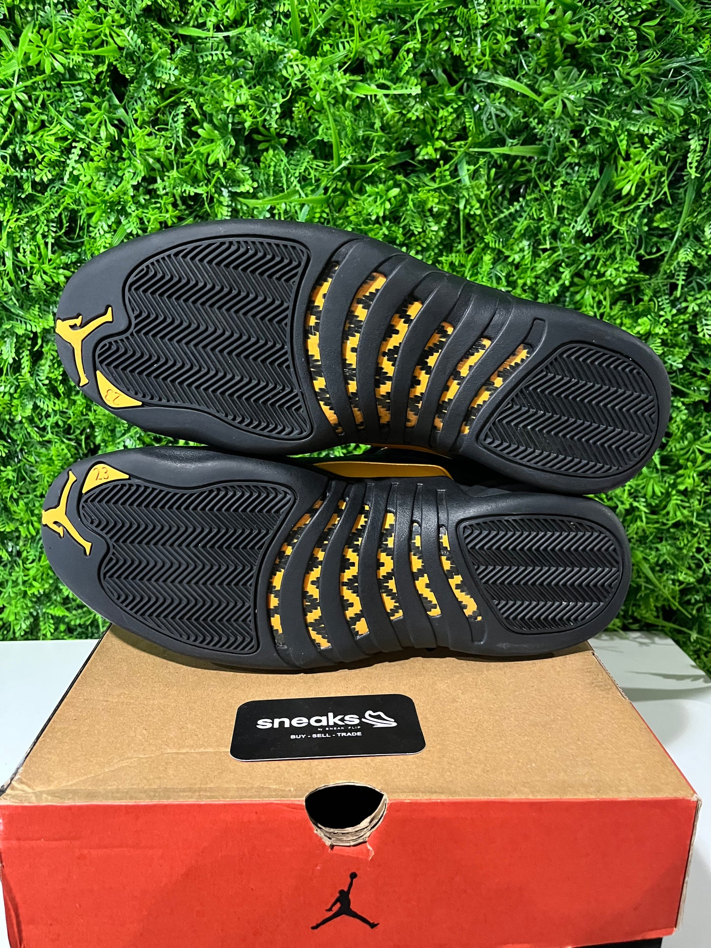 USED Air Jordan 12 Retro Black Taxi CT8013-071 SIZE 13M OG ALL
