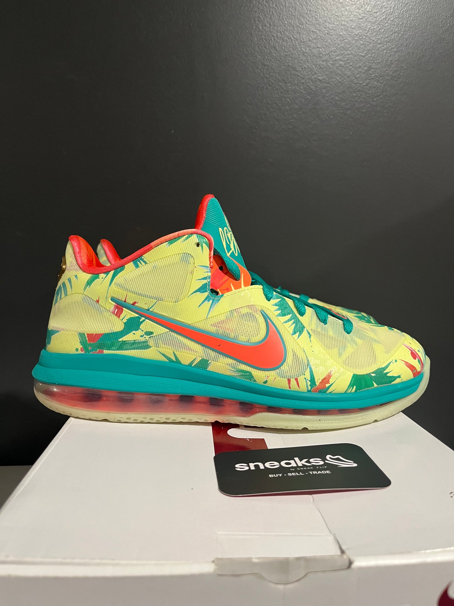 USED LeBron 9 Low LeBronold Palmer DO9355-300 SIZE 10M OG ALL AG25-278