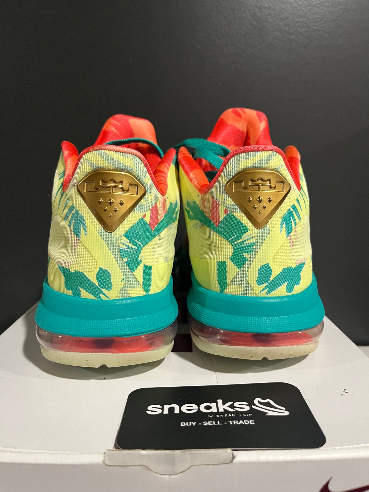 USED LeBron 9 Low LeBronold Palmer DO9355-300 SIZE 10M OG ALL AG25-278