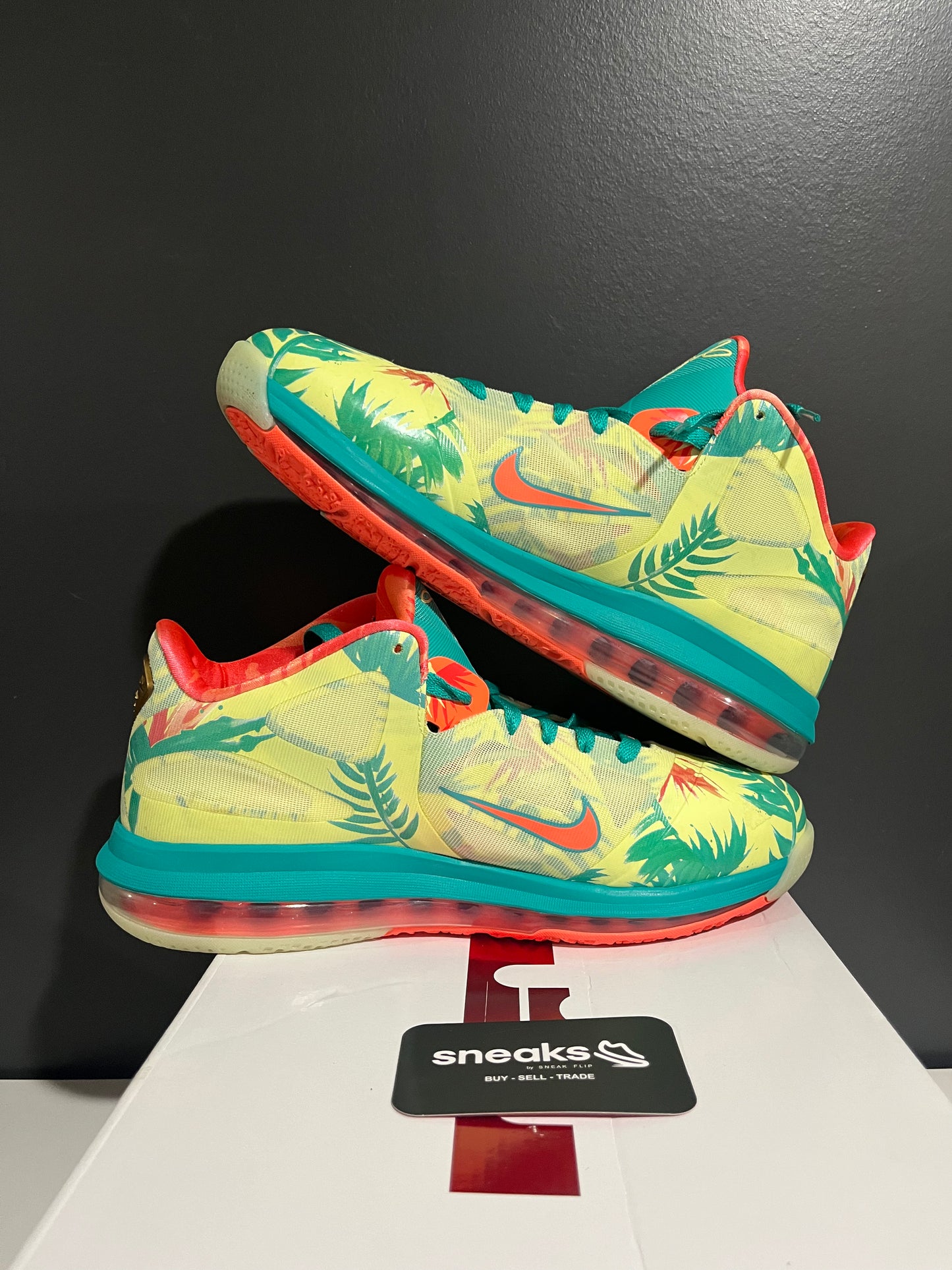 USED LeBron 9 Low LeBronold Palmer DO9355-300 SIZE 10M OG ALL AG25-278