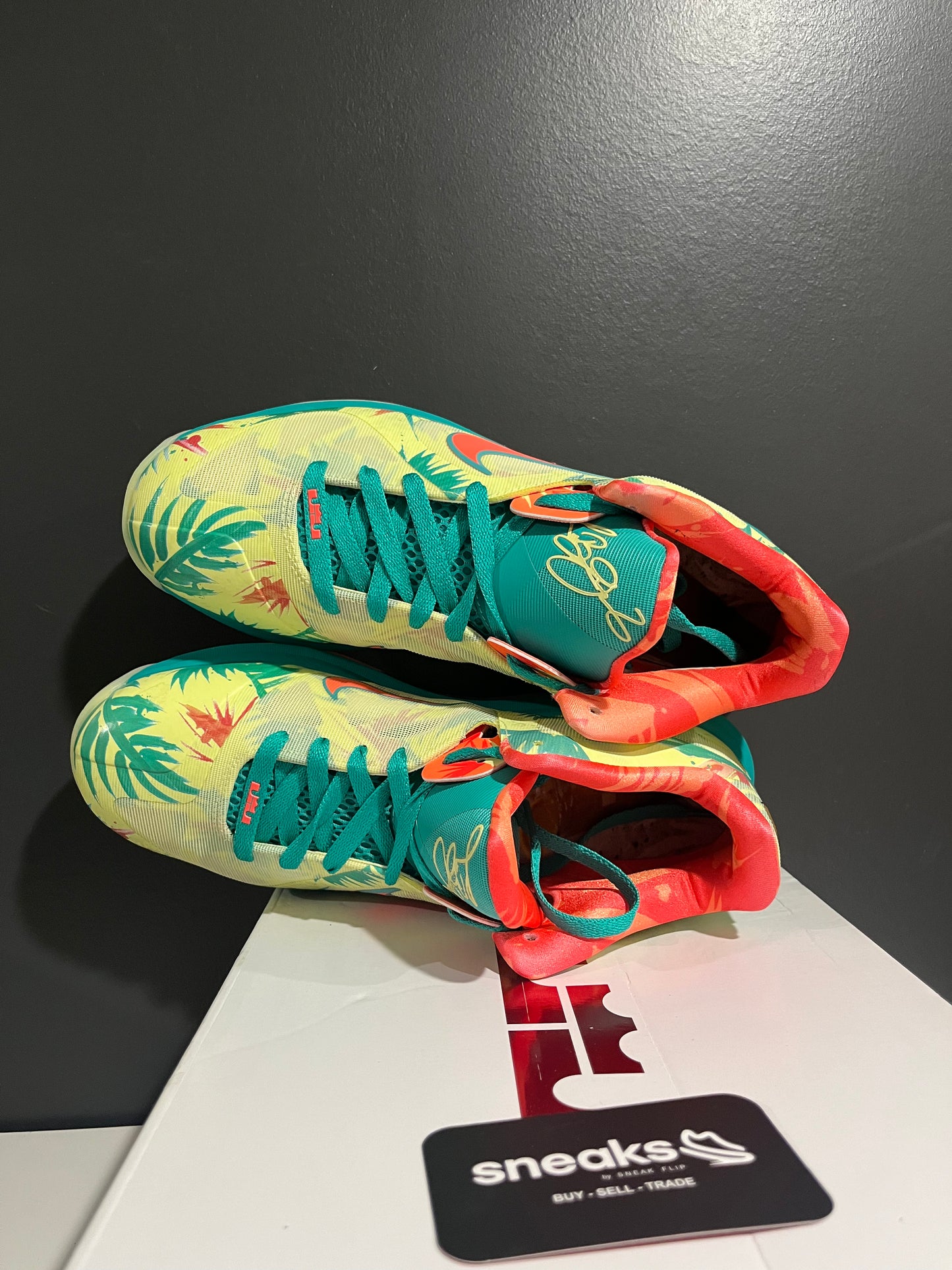 USED LeBron 9 Low LeBronold Palmer DO9355-300 SIZE 10M OG ALL AG25-278