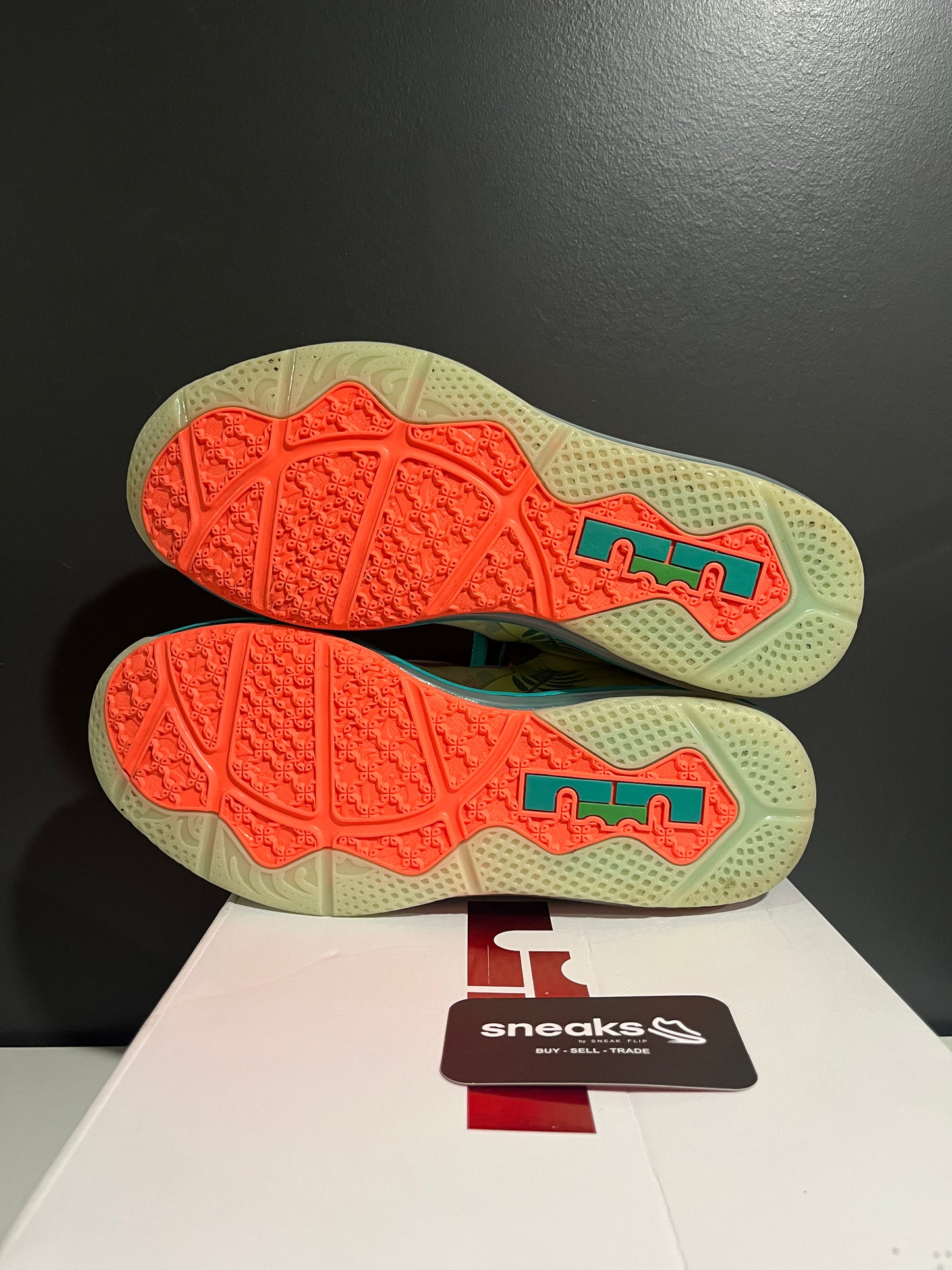 USED LeBron 9 Low LeBronold Palmer DO9355-300 SIZE 10M OG ALL AG25-278