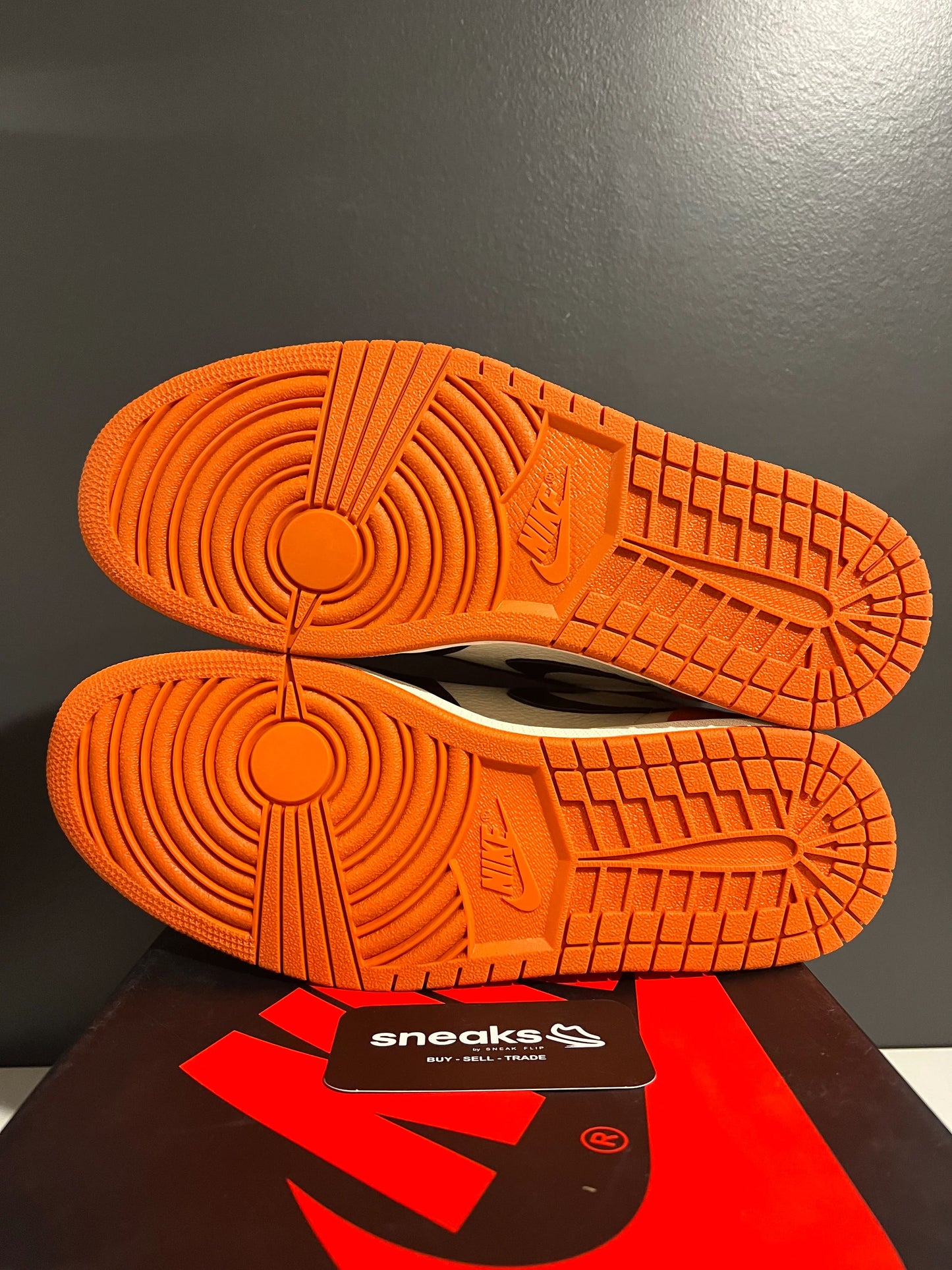 Jordan 1 Retro High OG Shattered Backboard (2025)