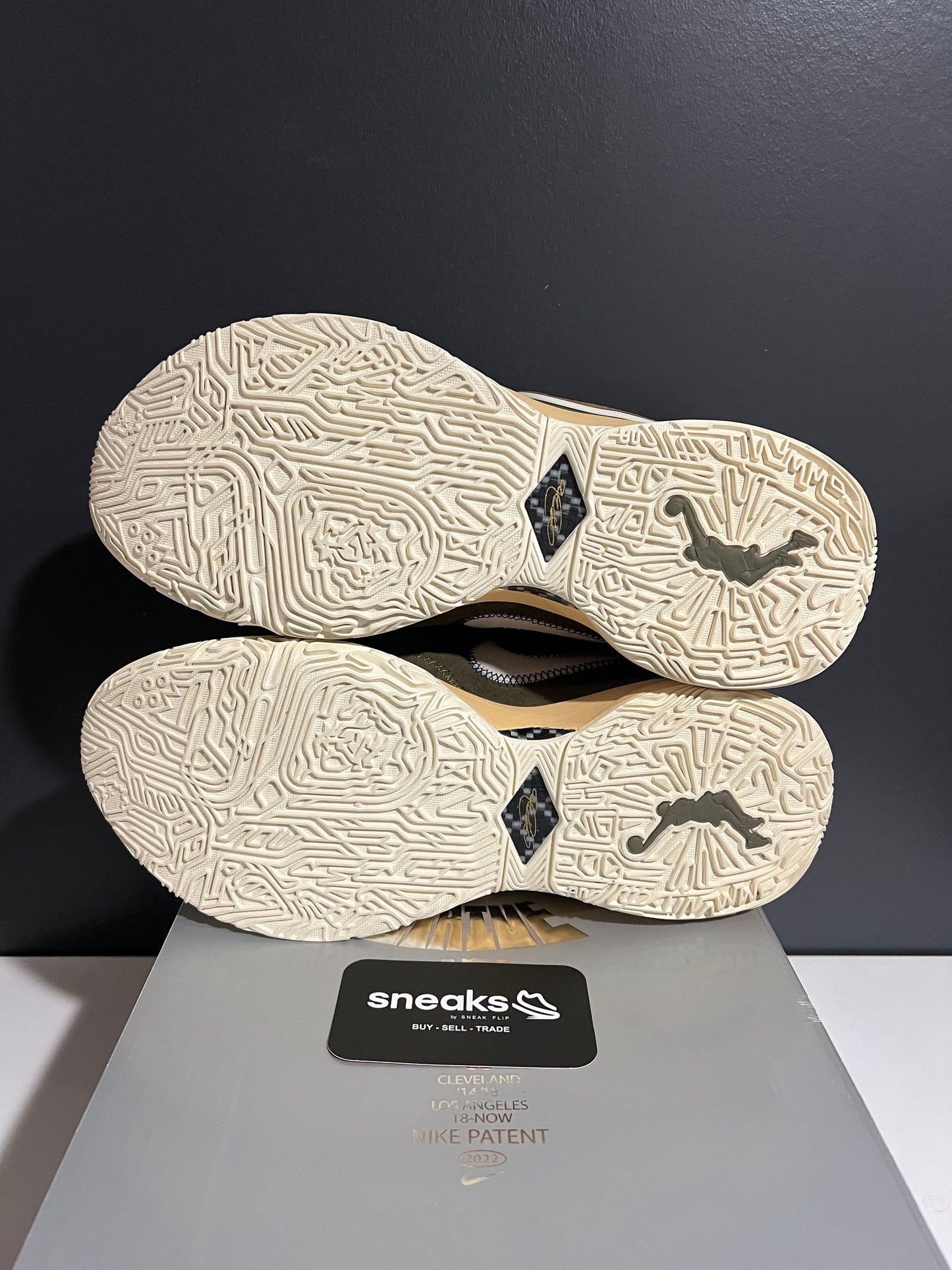 Nike LeBron 20 Olive Green - Used