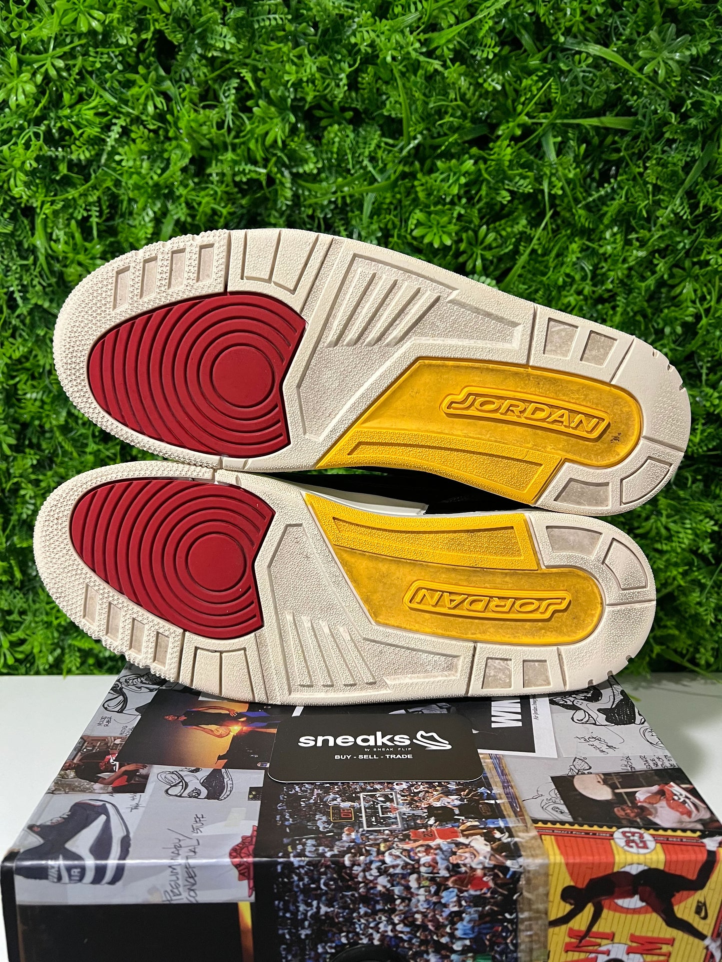 Jordan 3 Retro SE Animal Instinct 2.0 - Used