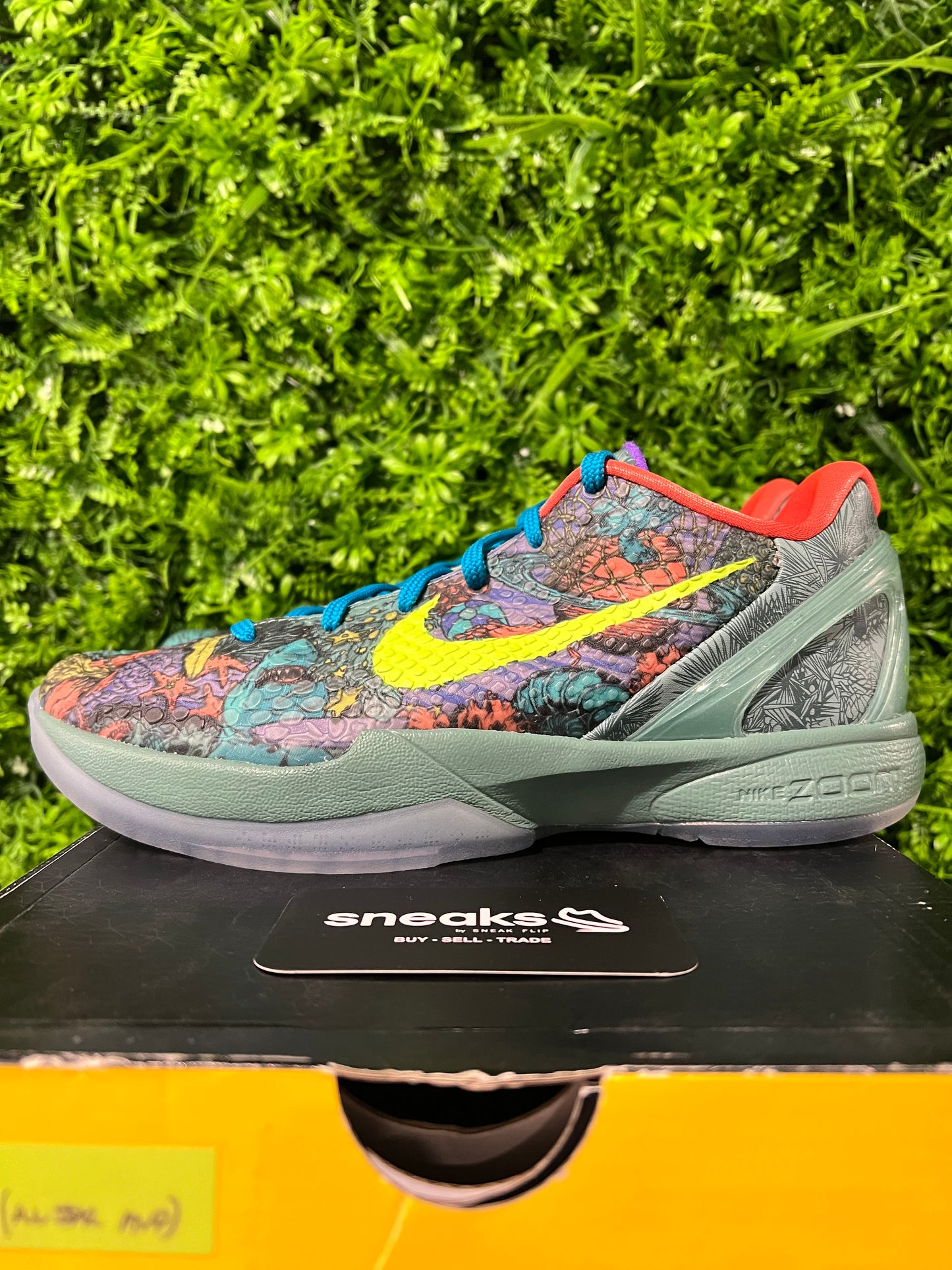 USED Zoom Kobe 6 Prelude 640220-001 SIZE 8M OG ALL