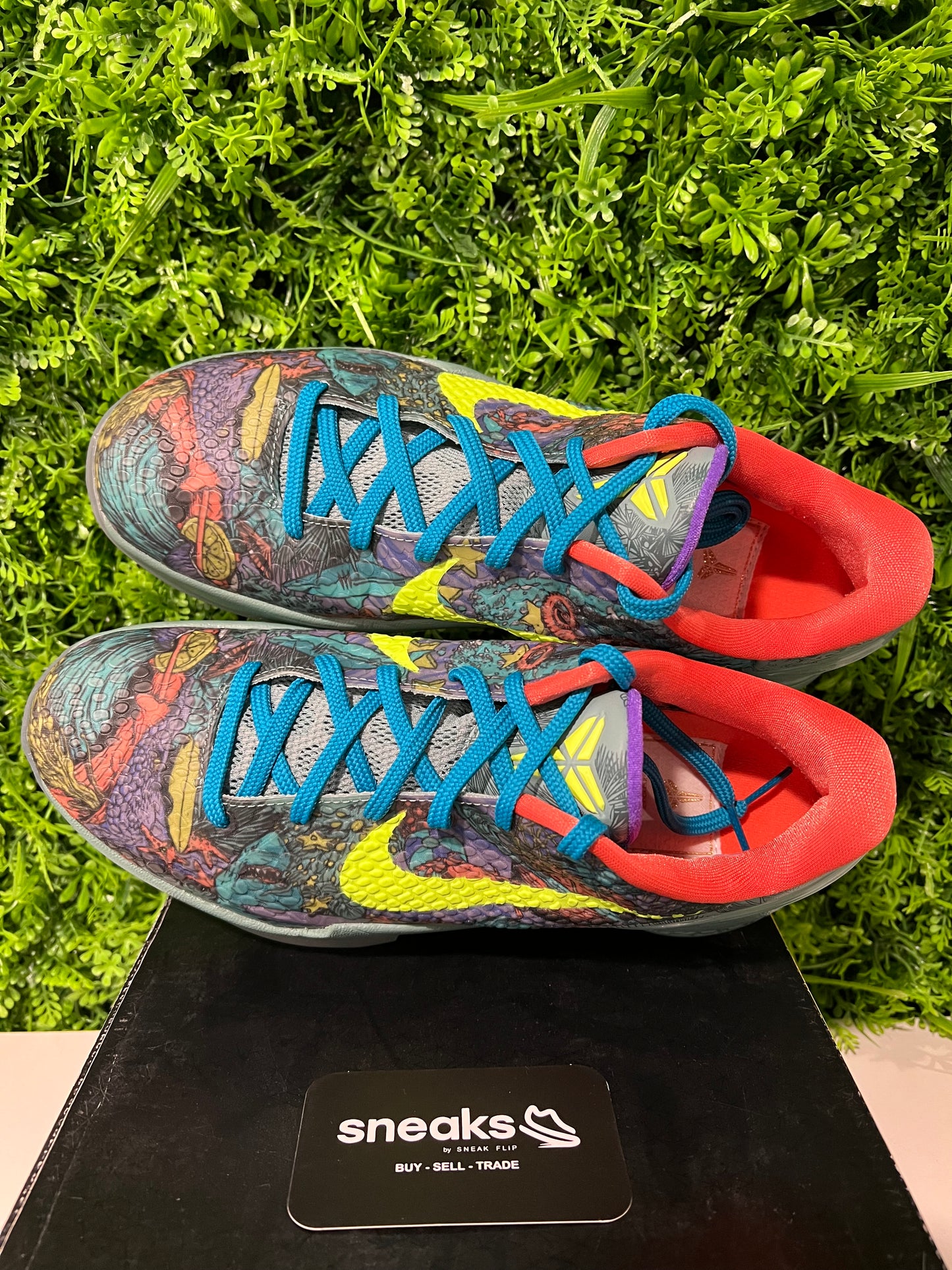 USED Zoom Kobe 6 Prelude 640220-001 SIZE 8M OG ALL