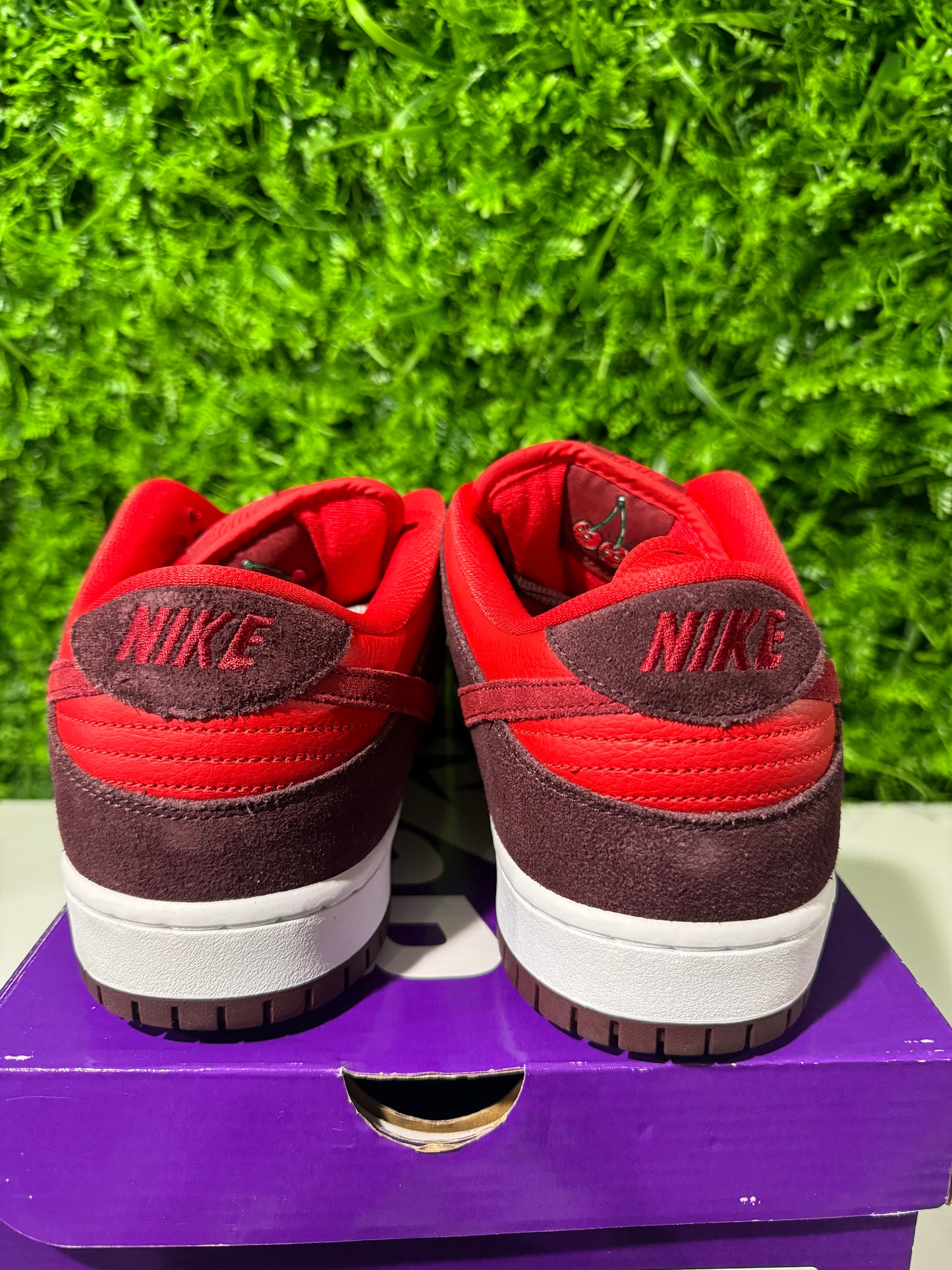 Dunk Low Pro SB Fruity Pack - Cherry DM0807-600 USED 13M OG ALL