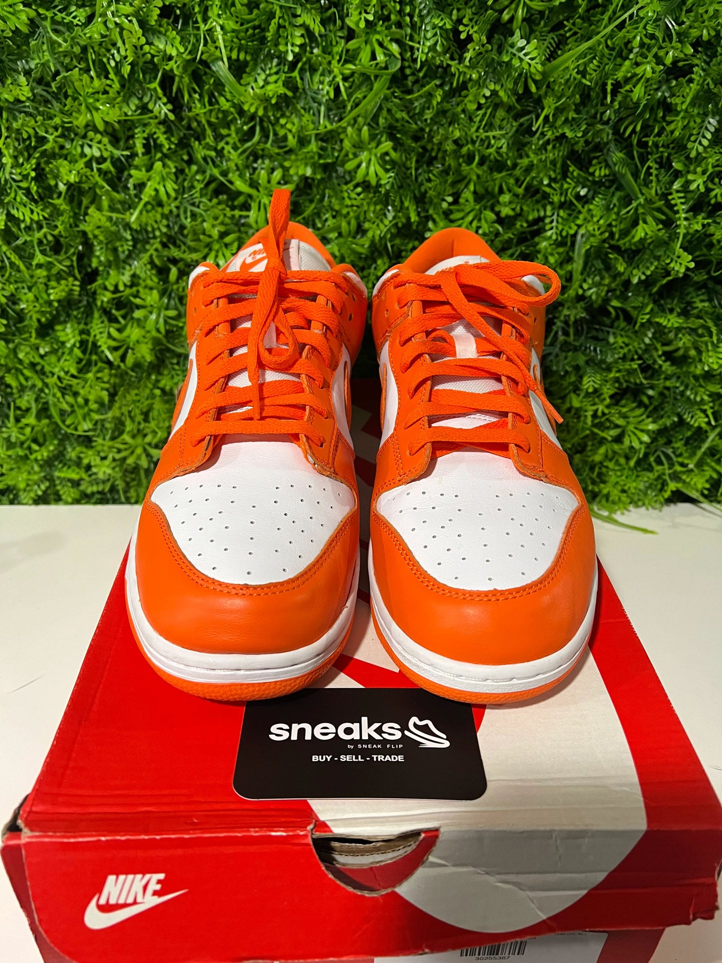 Nike Dunk Low SP Syracuse - Used