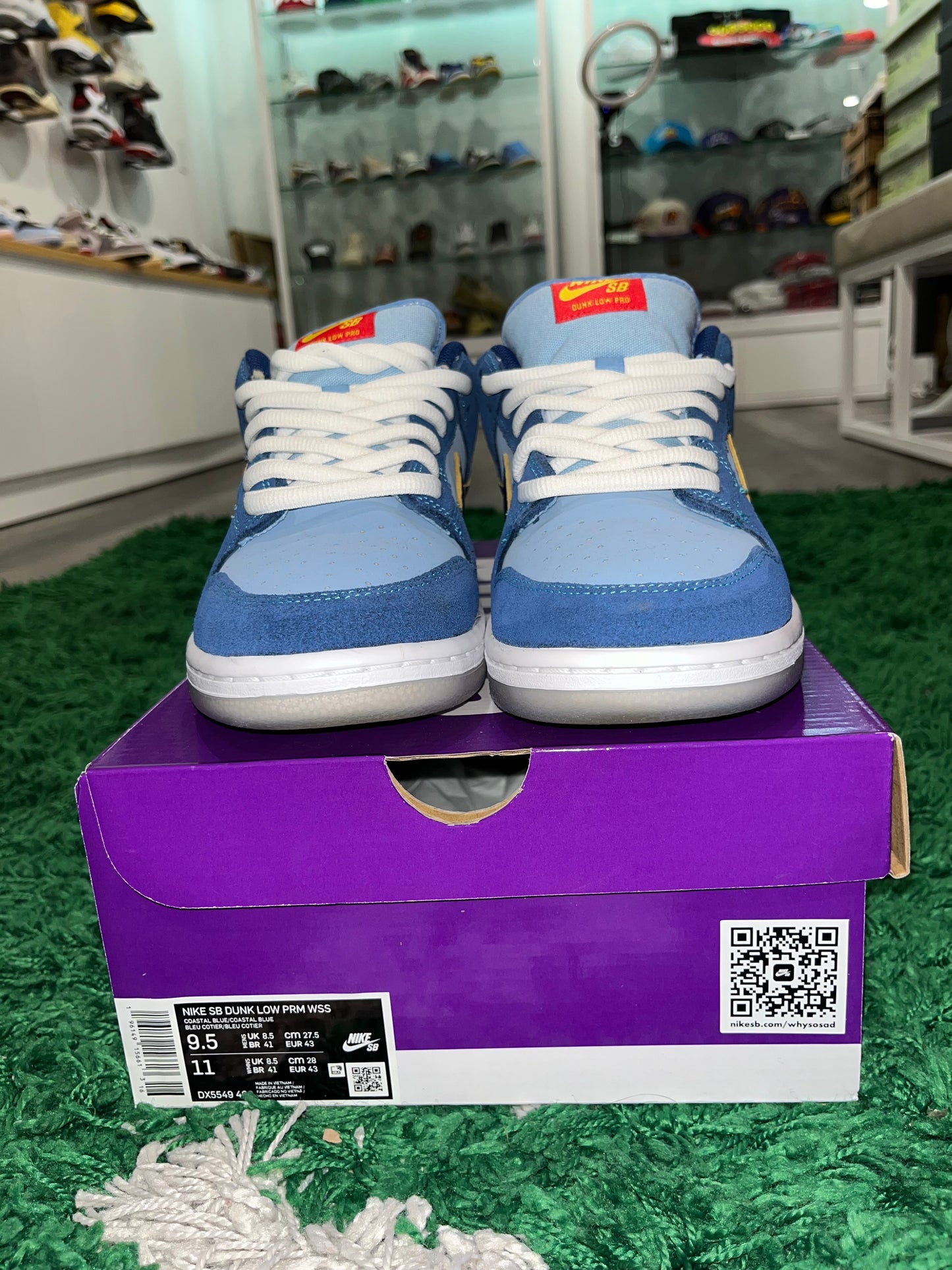 Why So Sad? x Dunk Low SB The Predatory Bird DX5549-400 USED SIZE 9.5M