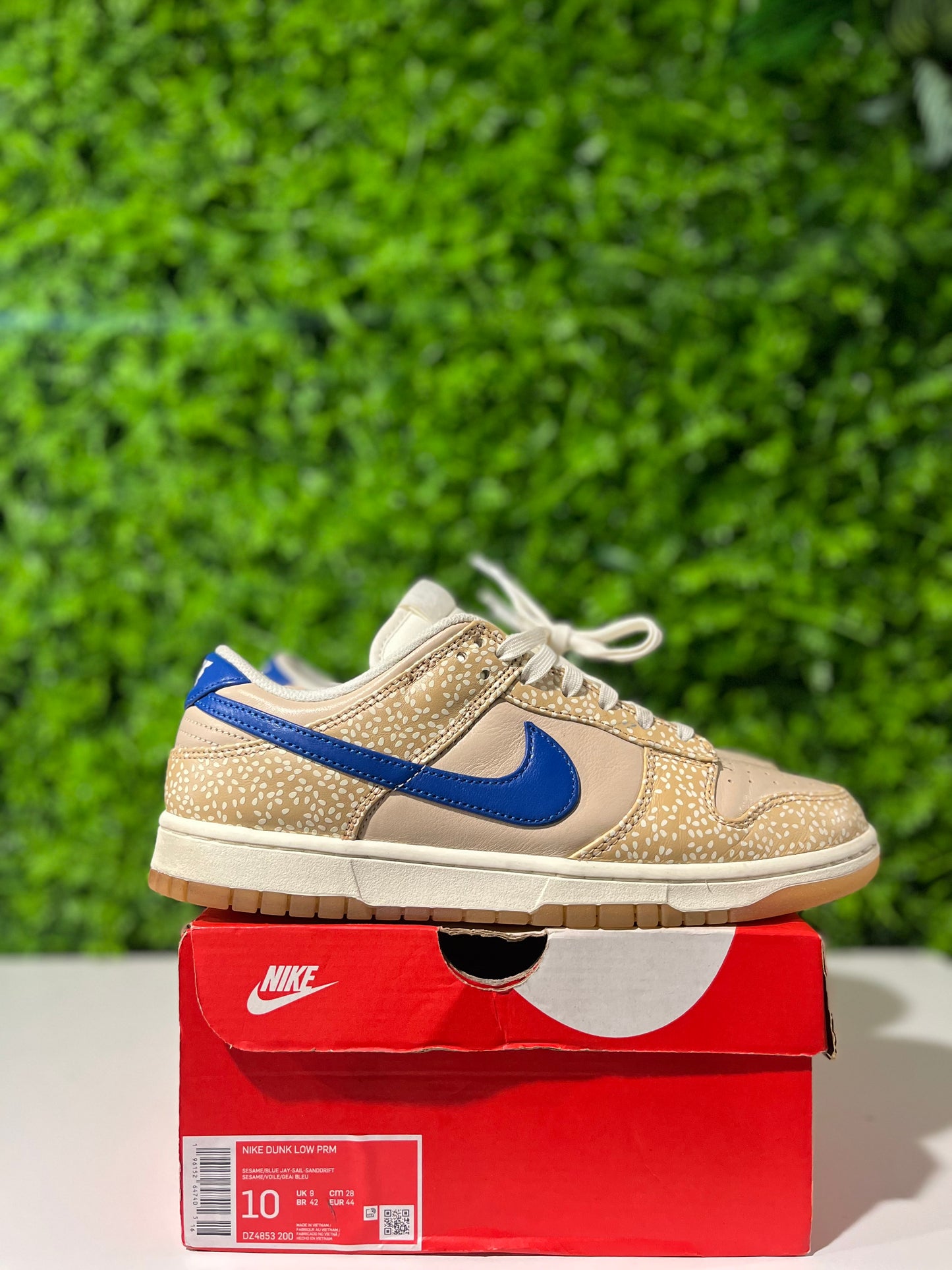 Dunk Low Premium Montreal Bagel Sesame  DZ4853-200 USED SIZE 10M OG ALL