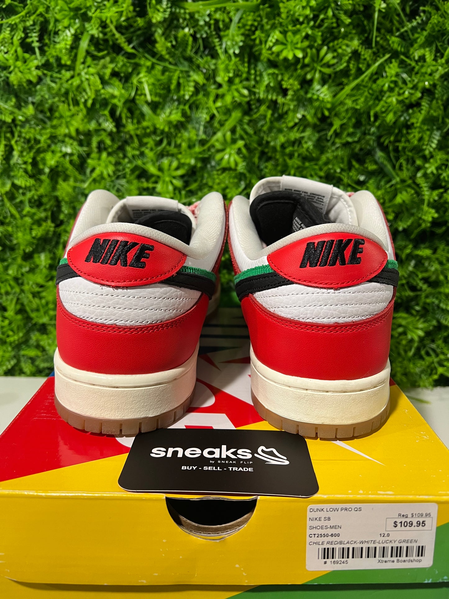 USED Frame Skate x Dunk Low SB Habibi CT2550-600 SIZE 12M OG ALL