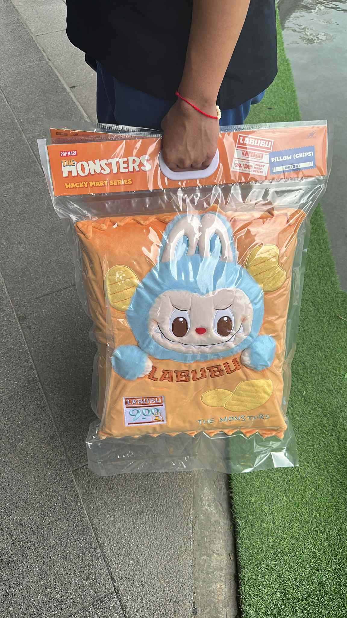 Pop Mart Labubu The Monsters Wacky Mart Series Chip Pillow