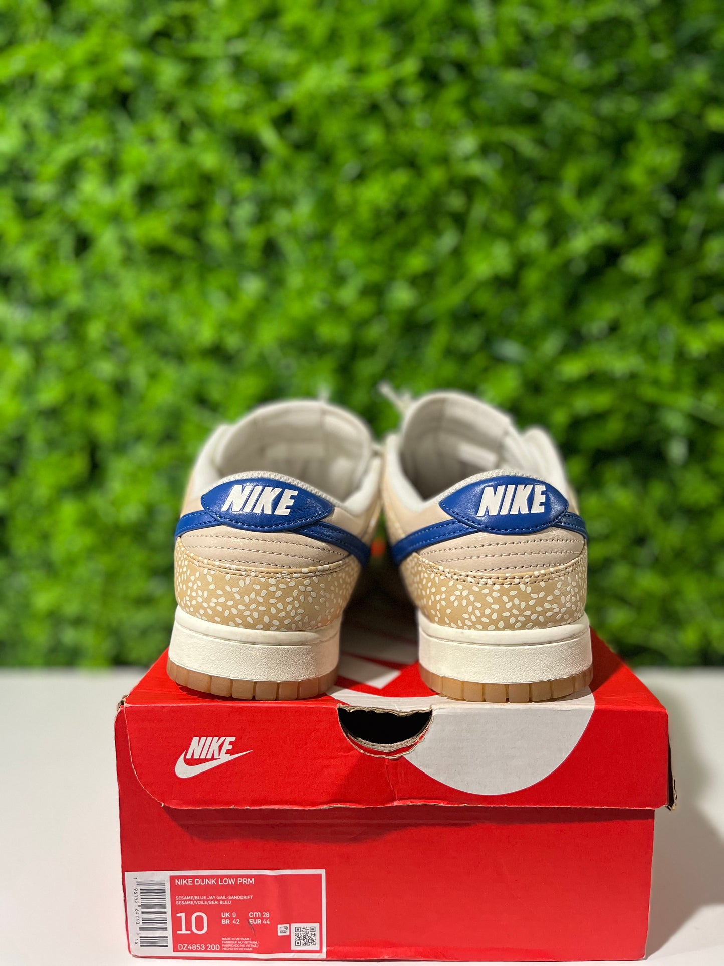 Dunk Low Premium Montreal Bagel Sesame  DZ4853-200 USED SIZE 10M OG ALL