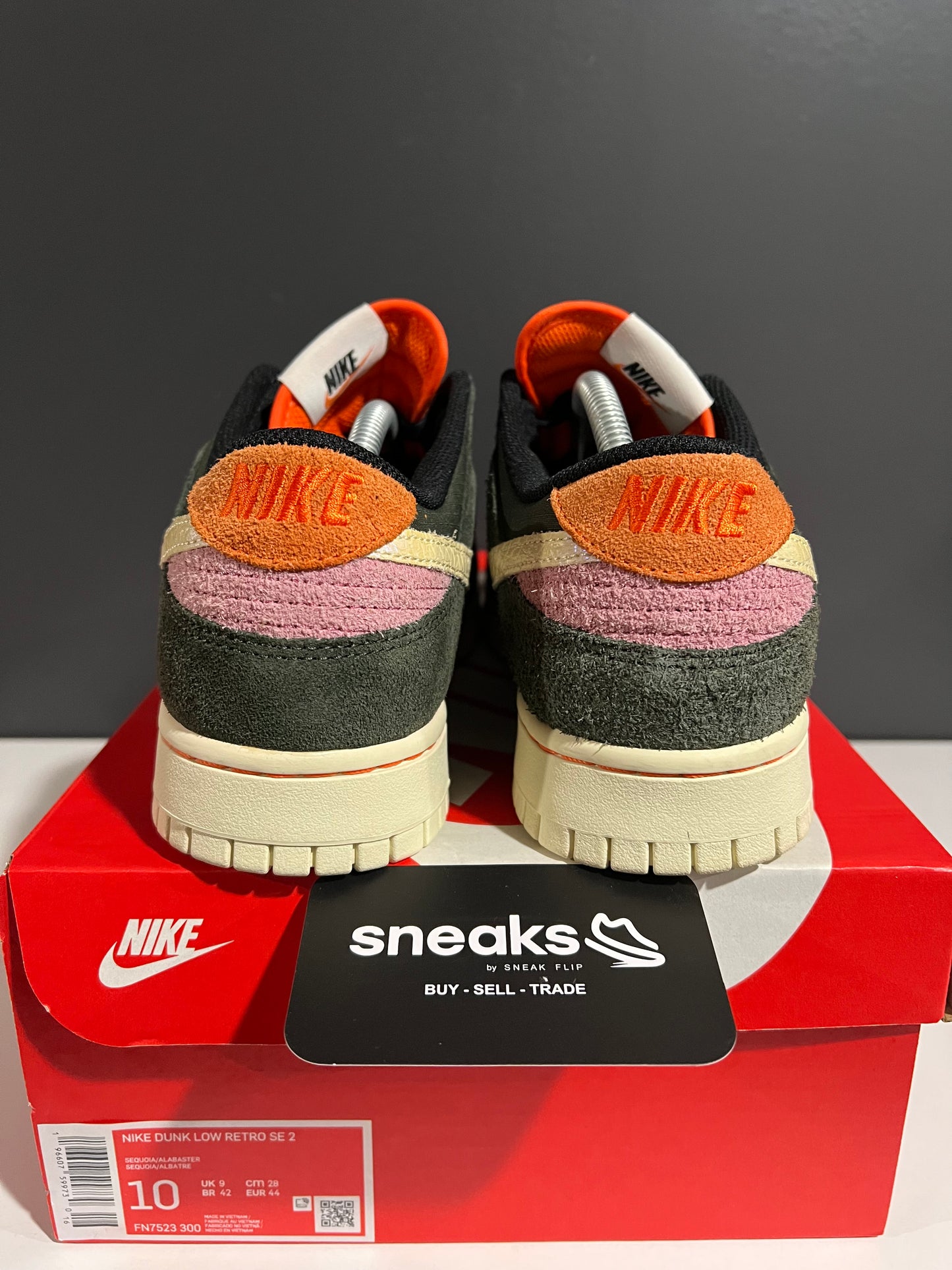USED Dunk Low SE Gone Fishing Rainbow Trout FN7523-300 SIZE 10M OG ALL AG25-47