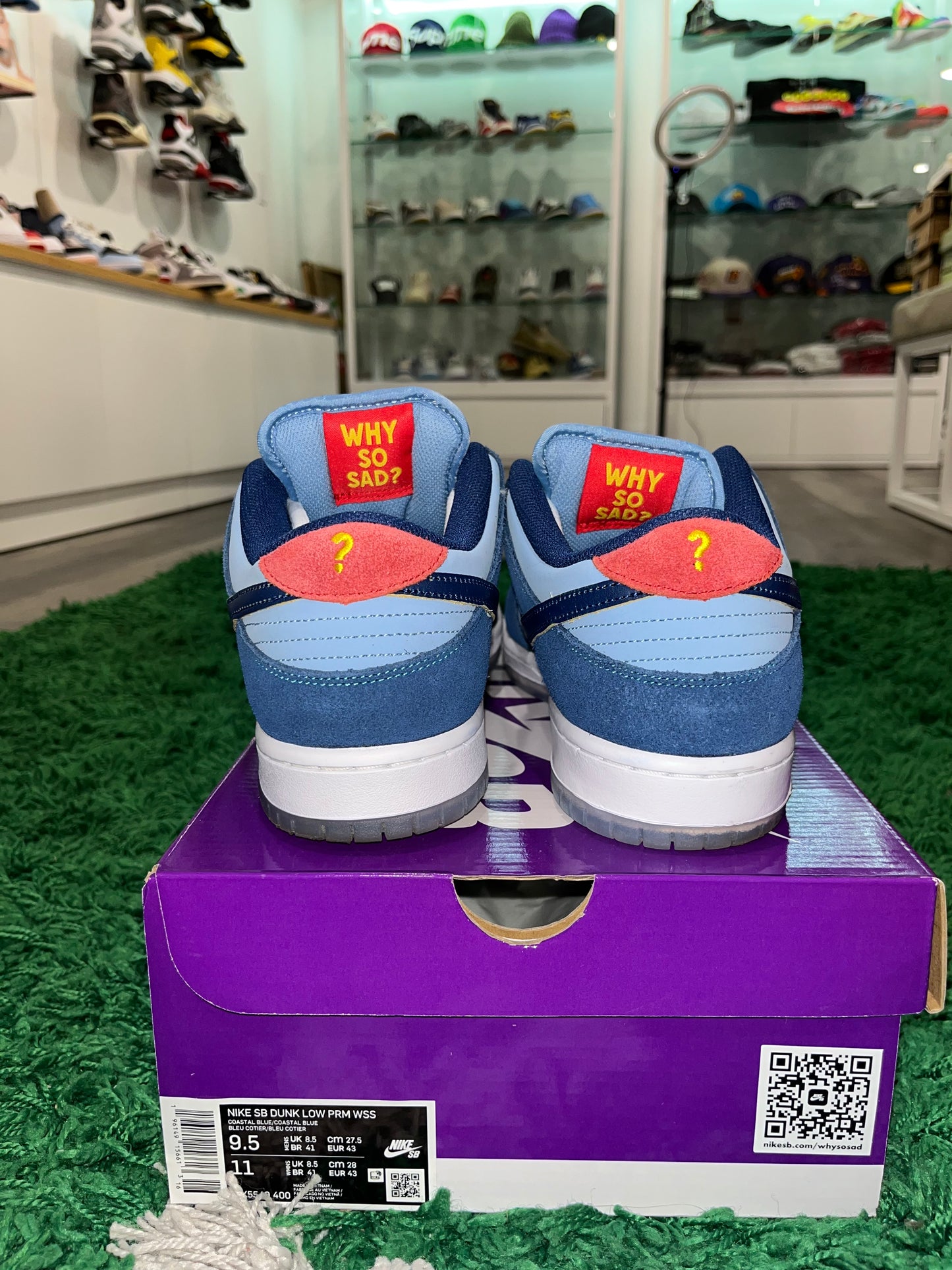 Why So Sad? x Dunk Low SB The Predatory Bird DX5549-400 USED SIZE 9.5M