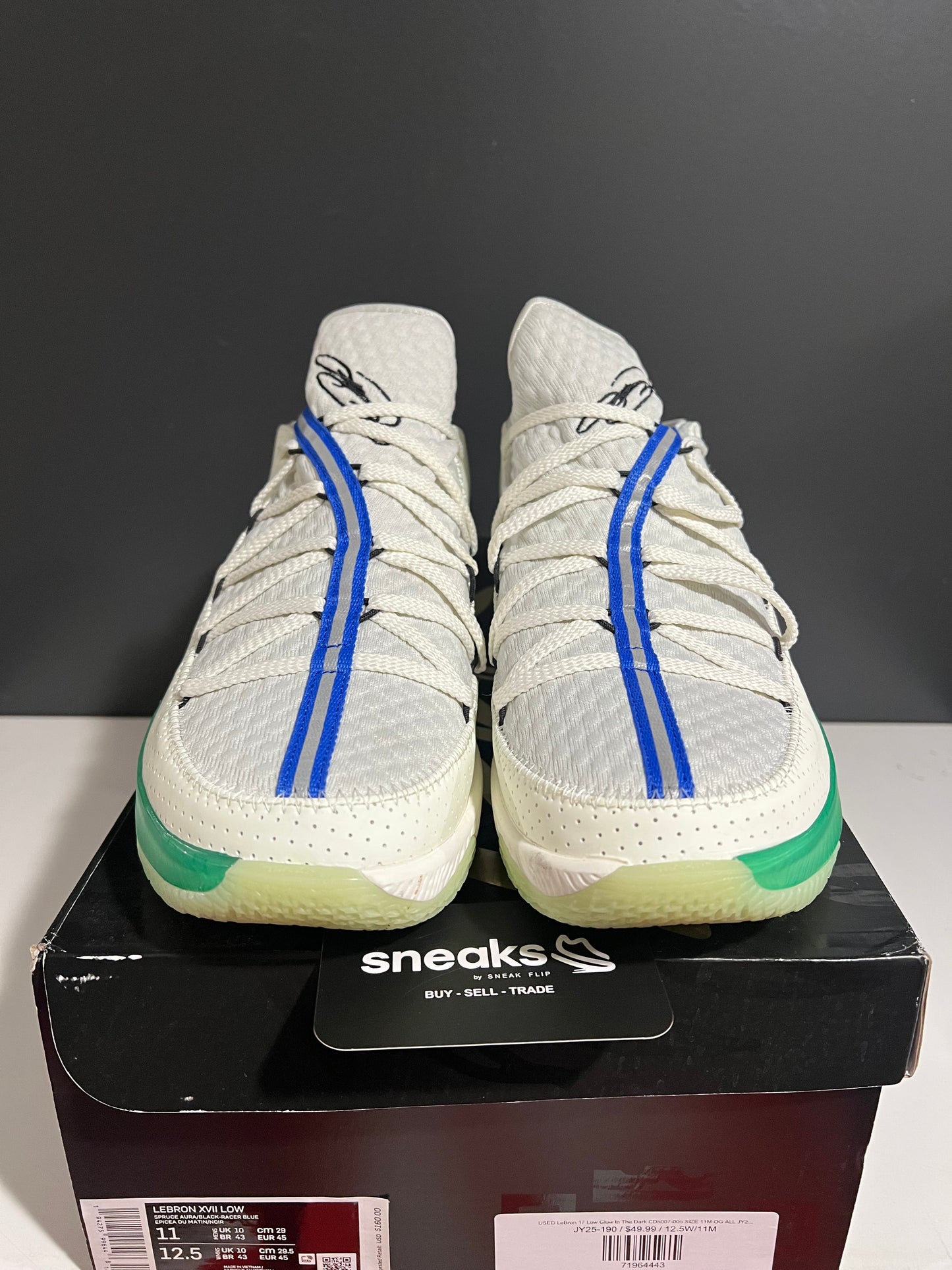 USED LeBron 17 Low Glow In The Dark CD5007-005 SIZE 11M OG ALL JY25-190
