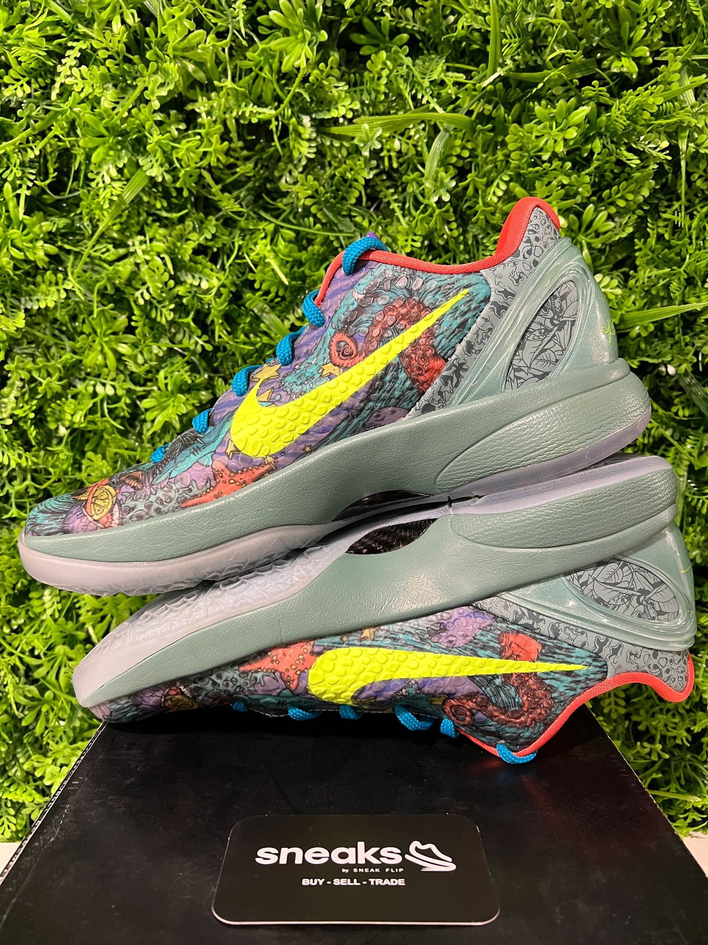 Nike Kobe 6 Prelude All-Star MVP - Used