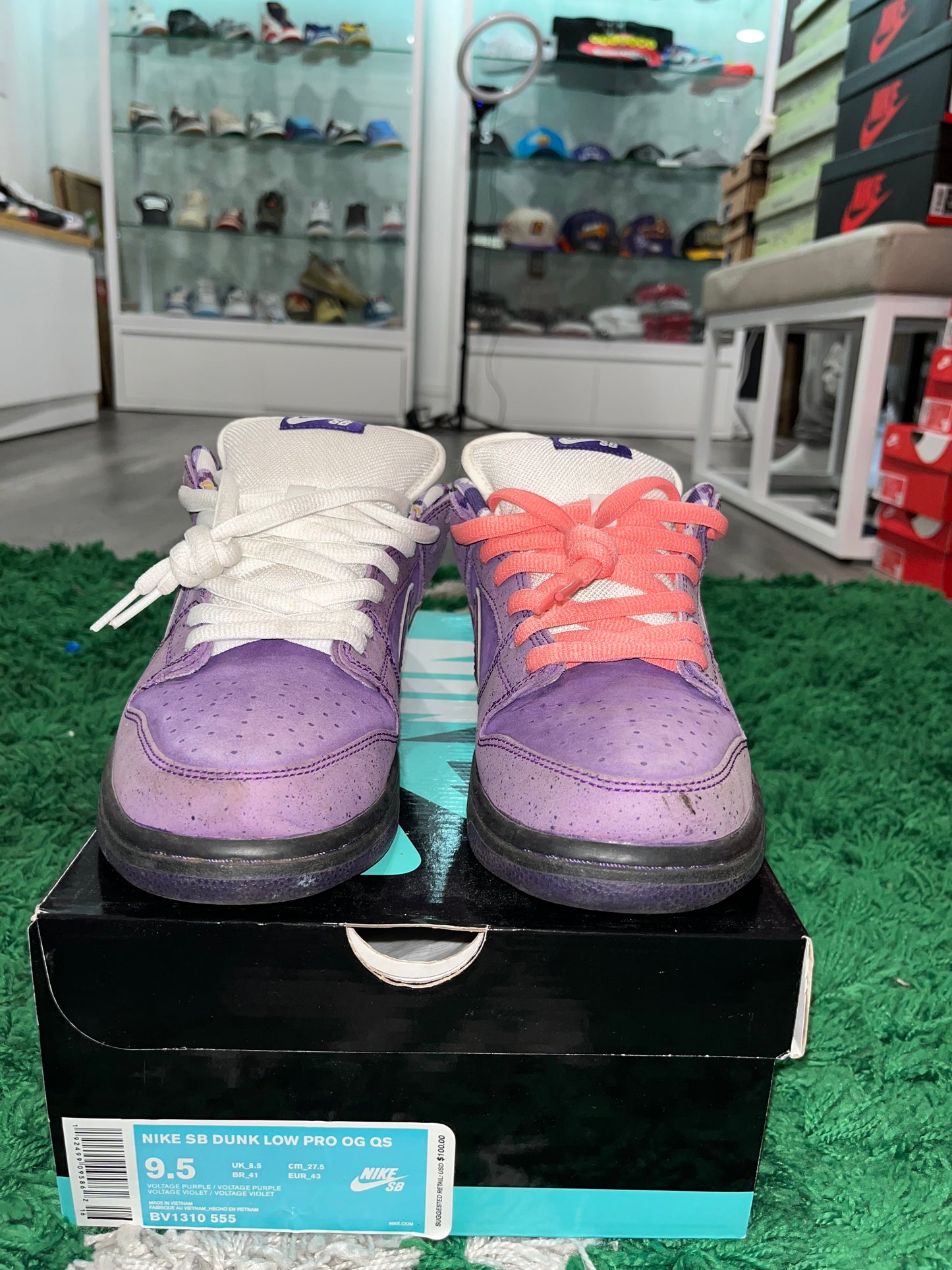 Concepts x Dunk Low SB Purple Lobster BV1310-555 USED SIZE 9.5M