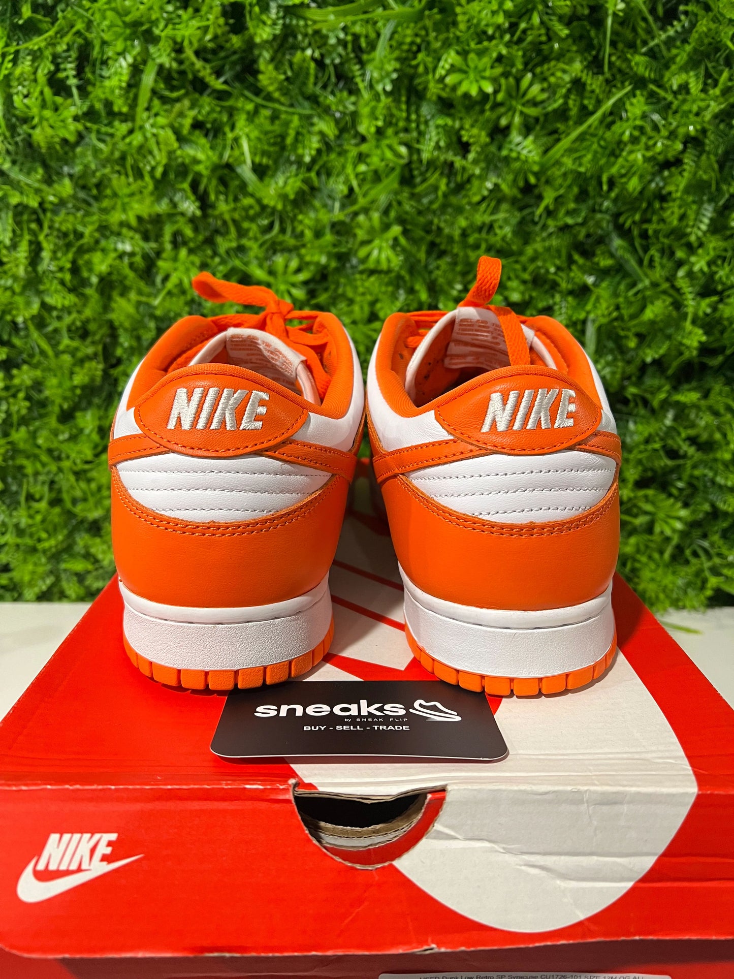 Nike Dunk Low SP Syracuse - Used