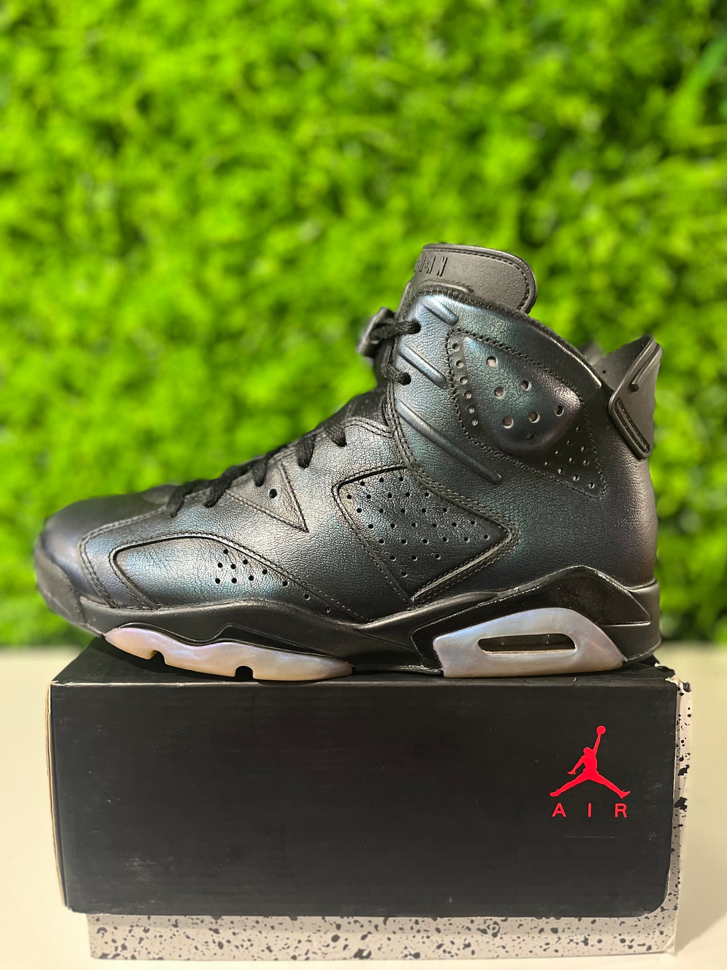 Air Jordan 6 Retro All Star - Chameleon 907961-015 USED SIZE 8.5M REP BOX