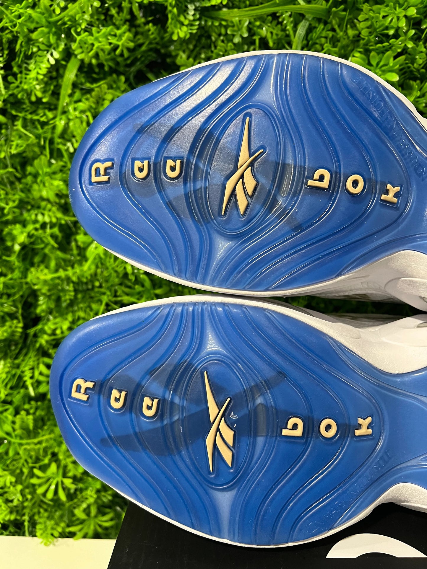 Reebok Question Low Oatmeal (2020)