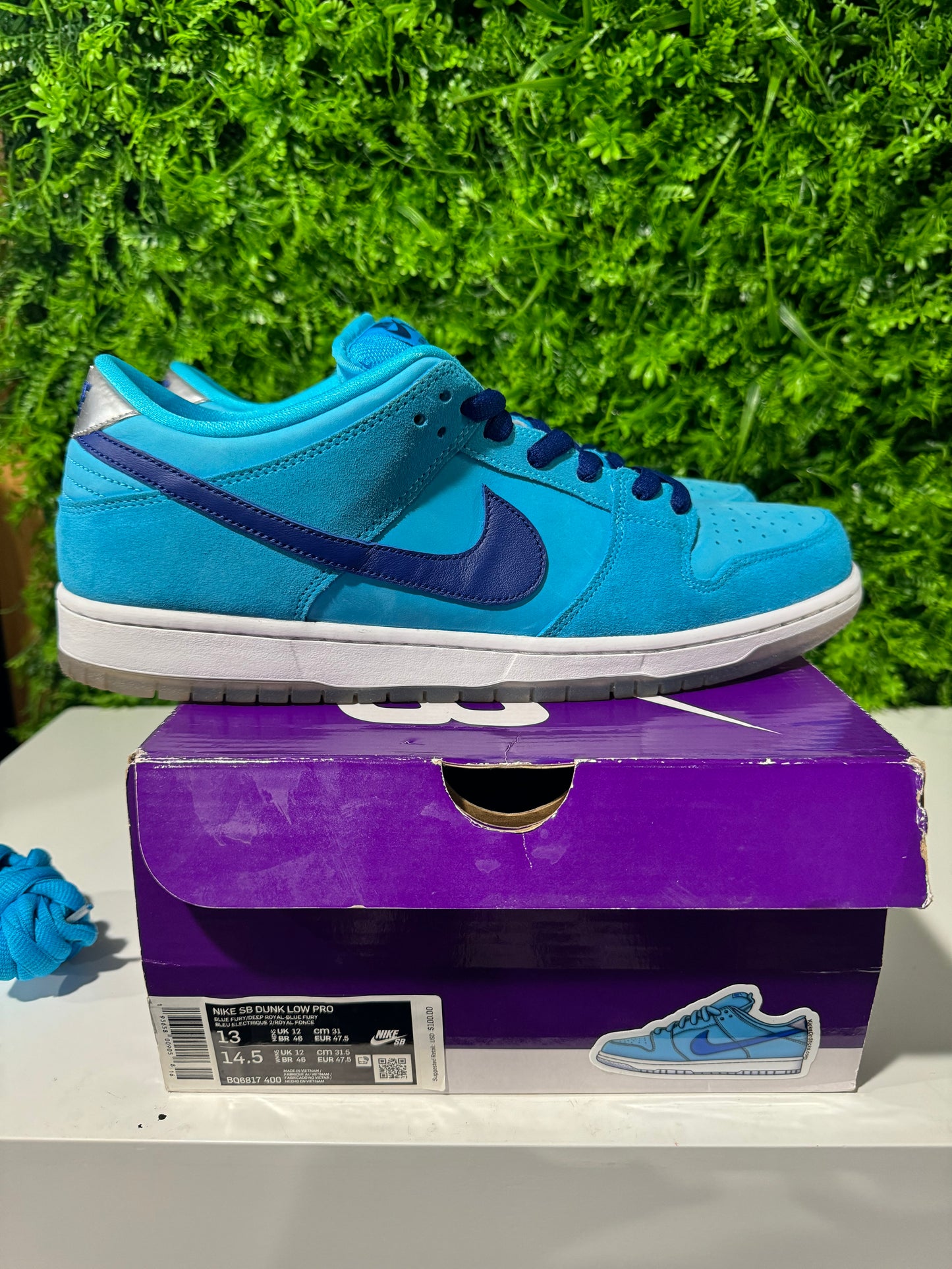 Dunk Low SB Blue Fury BQ6817-400 USED 13M OG ALL