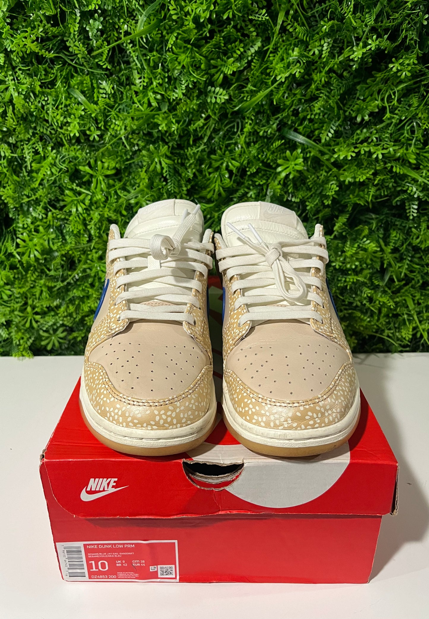 Dunk Low Premium Montreal Bagel Sesame  DZ4853-200 USED SIZE 10M OG ALL