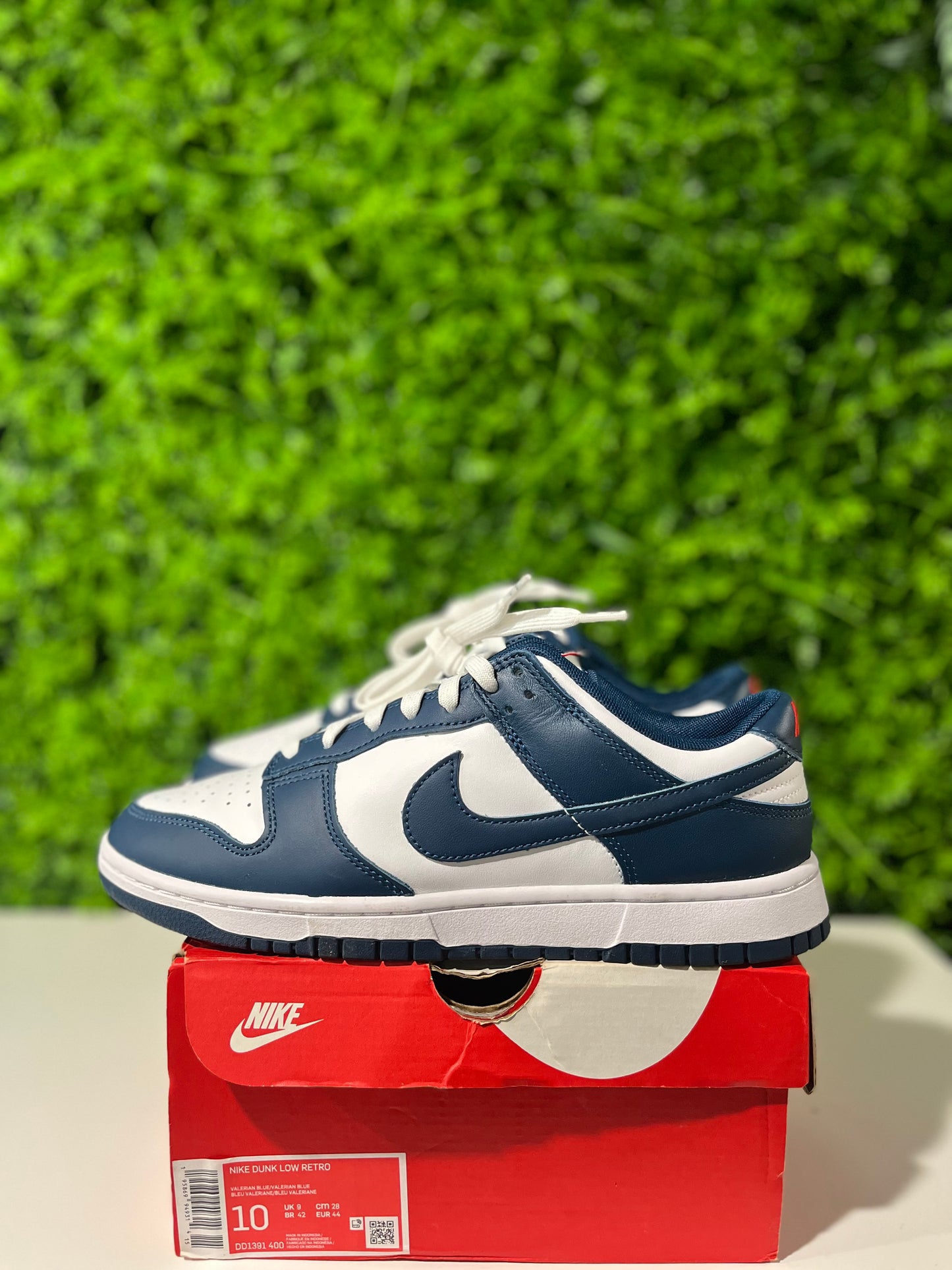 Dunk Low Valerian Blue DD1391-400 USED SIZE 10M OG ALL