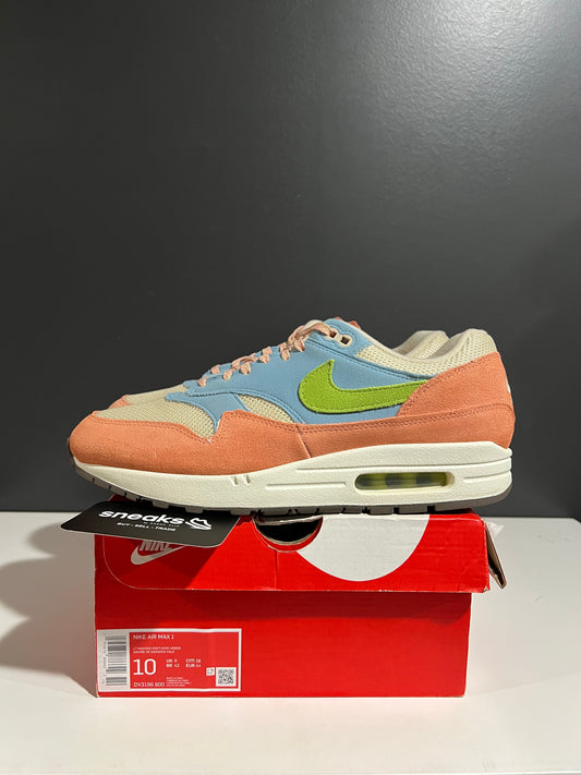 USED Nike Air Max 1 Light Madder Root Worn Blue DV3196-800 SIZE 10M OG ALL JY25-244