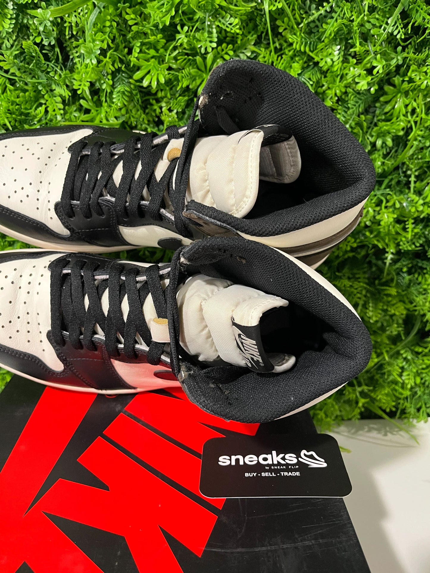 Jordan 1 Retro High Dark Mocha - Used