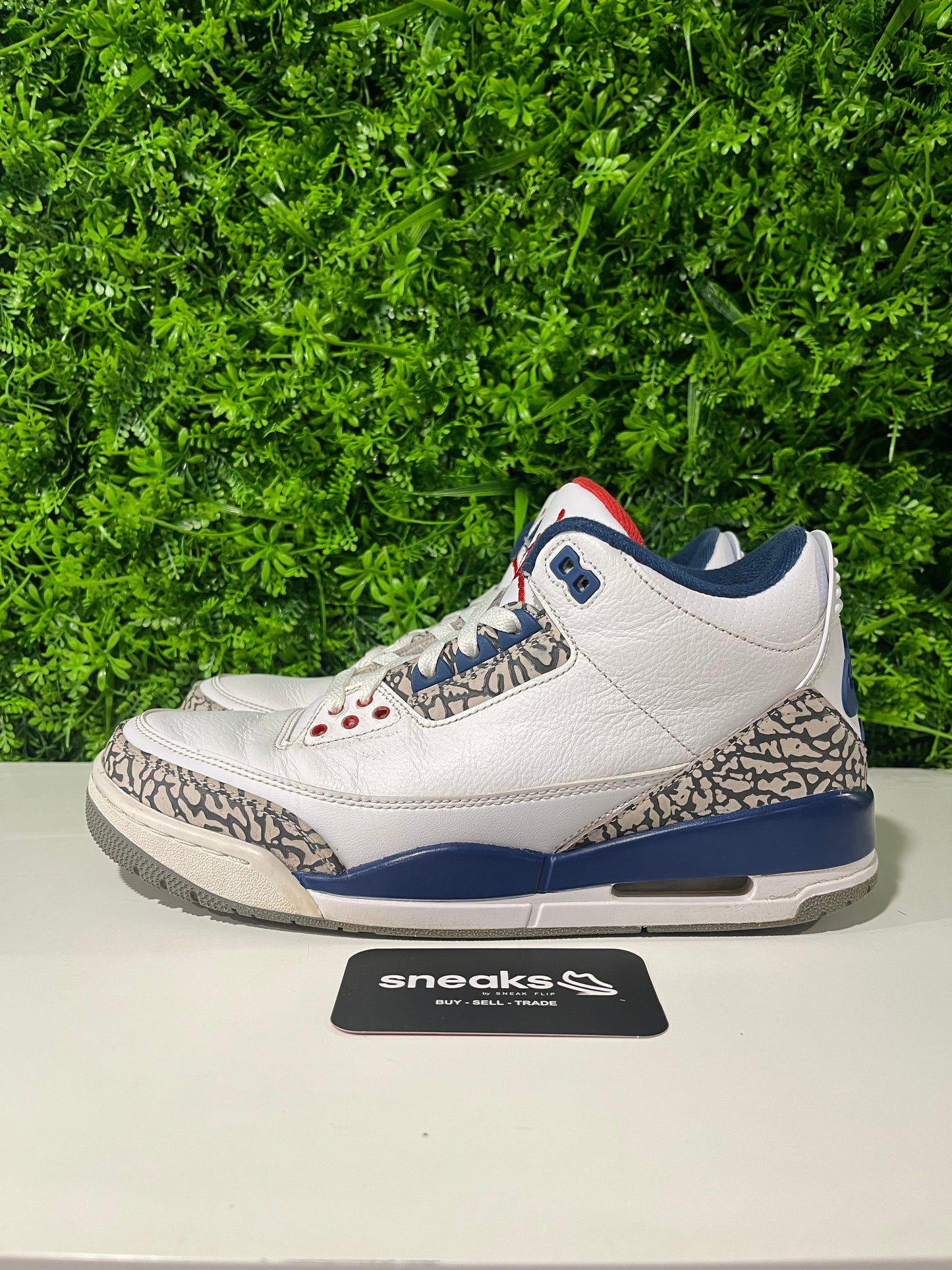 Jordan 3 Retro True Blue (2016) - Used
