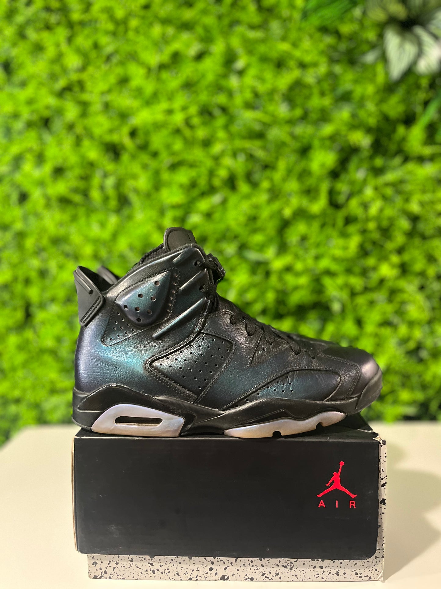 Air Jordan 6 Retro All Star - Chameleon 907961-015 USED SIZE 8.5M REP BOX