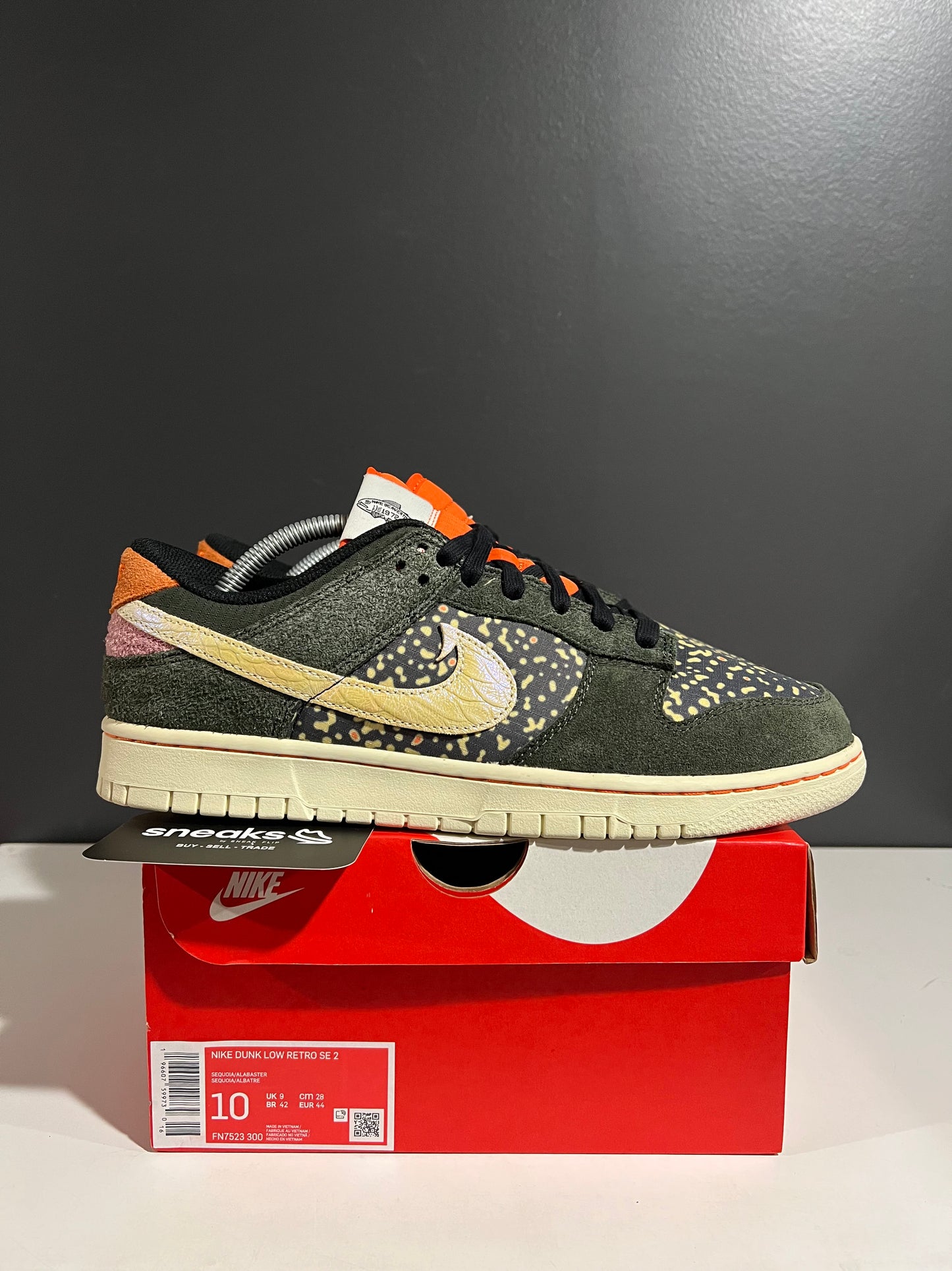USED Dunk Low SE Gone Fishing Rainbow Trout FN7523-300 SIZE 10M OG ALL AG25-47