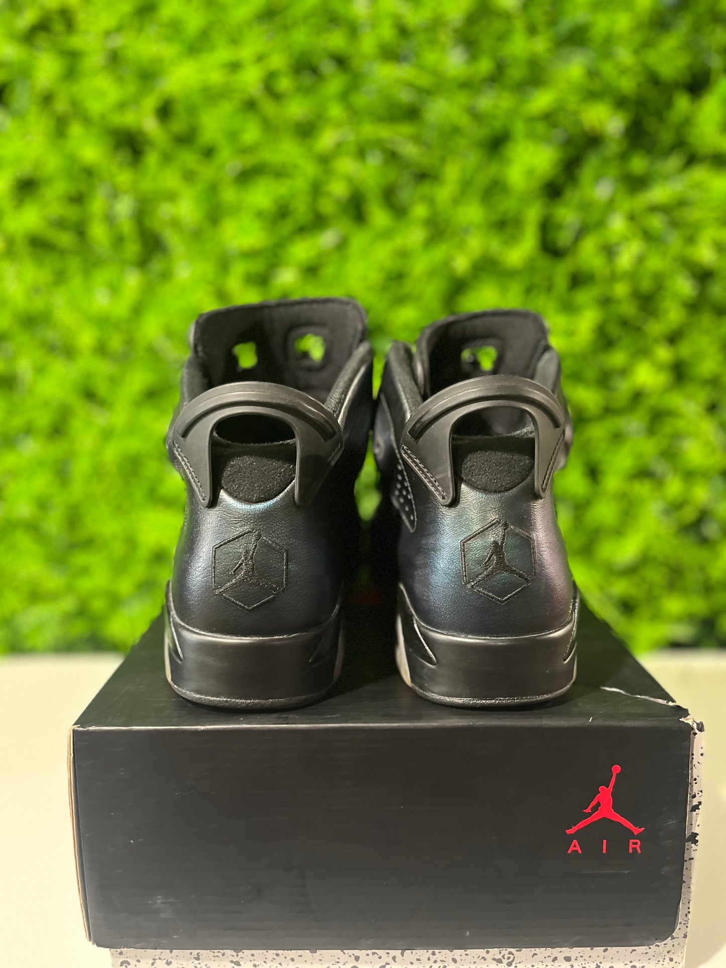 Air Jordan 6 Retro All Star - Chameleon 907961-015 USED SIZE 8.5M REP BOX