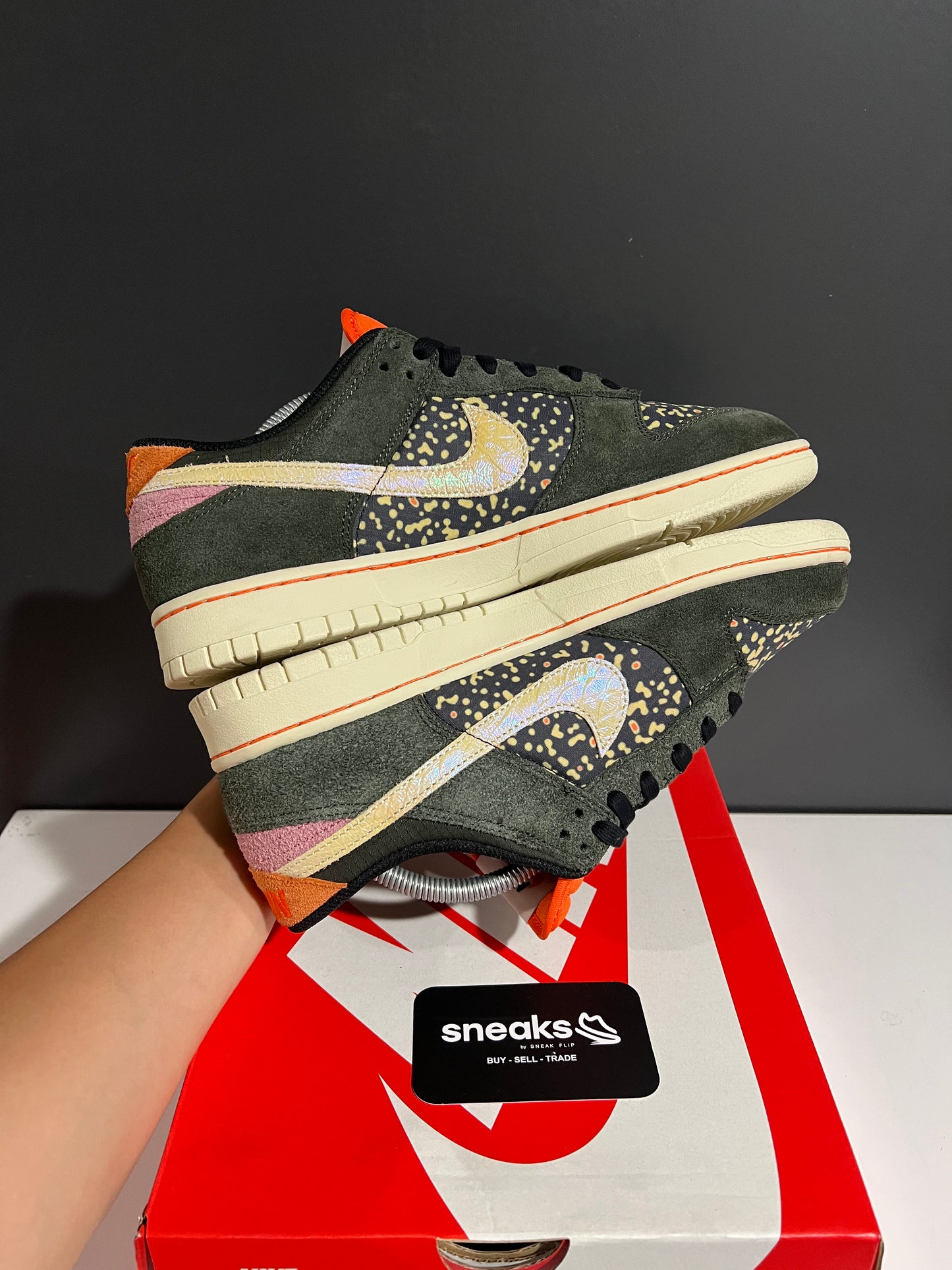 USED Dunk Low SE Gone Fishing Rainbow Trout FN7523-300 SIZE 10M OG ALL AG25-47